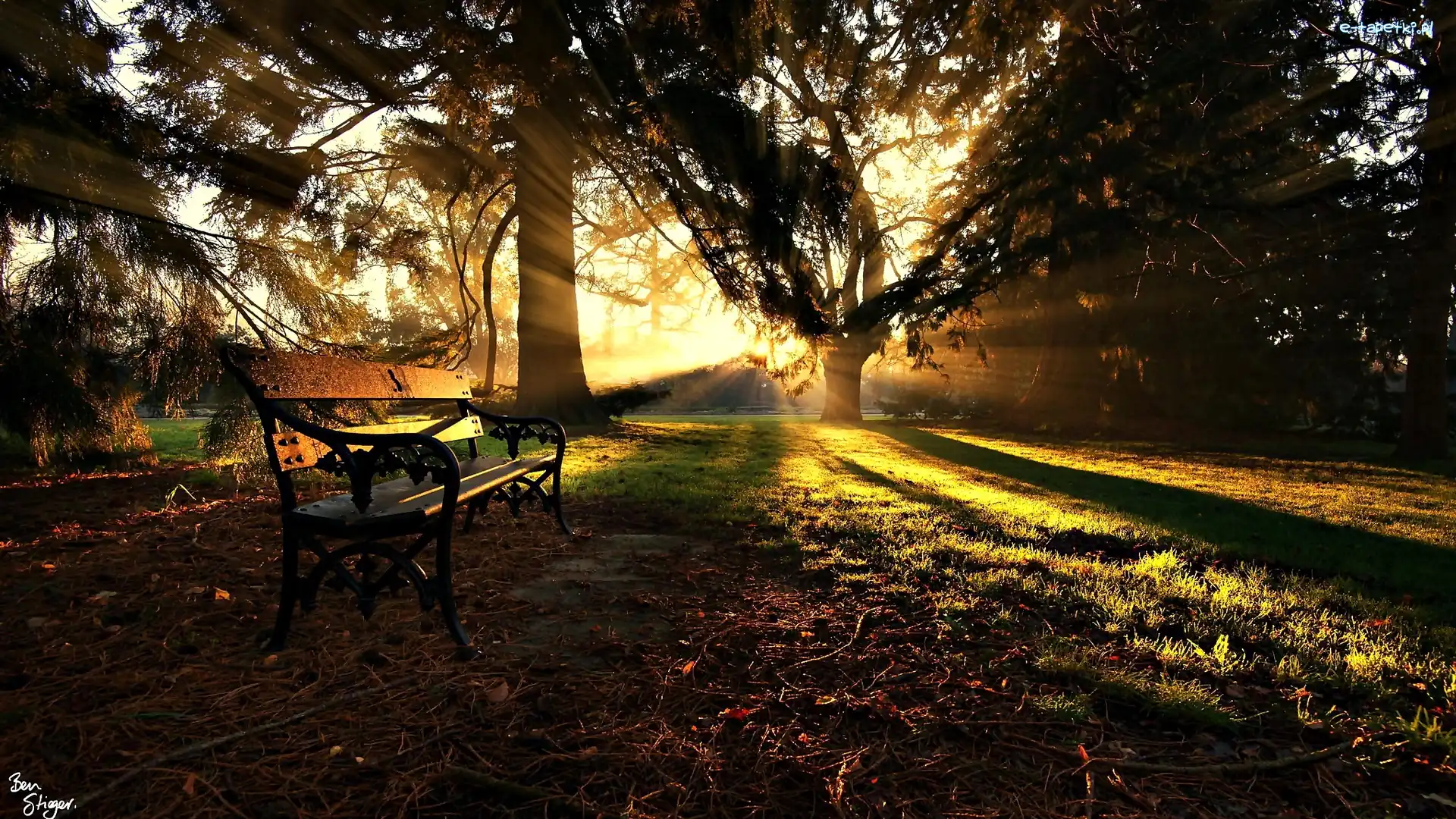 Ławka, Promienie Słońca, Jesień, Park