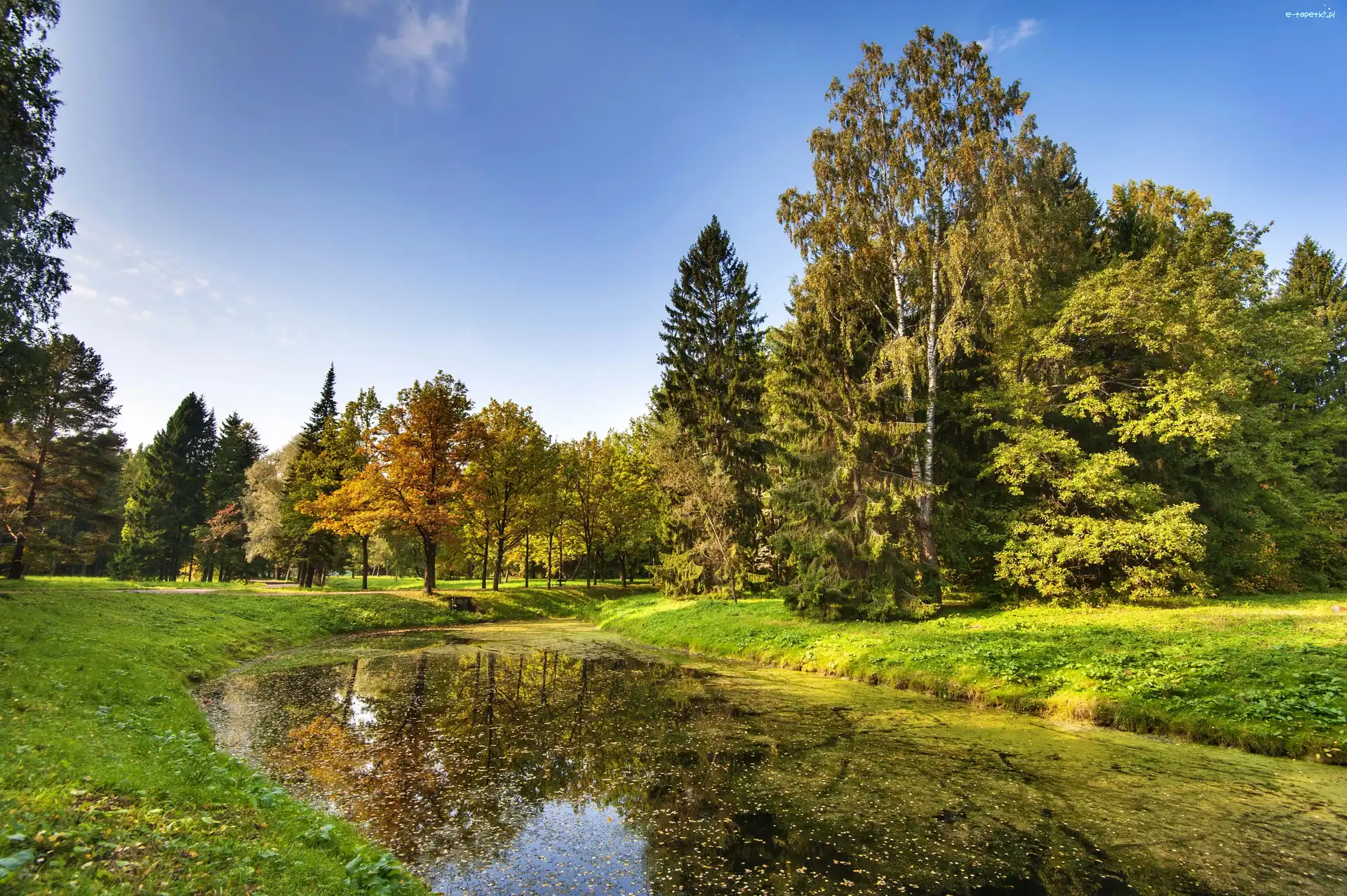 Petersburg, Jesień, Park, Rosja