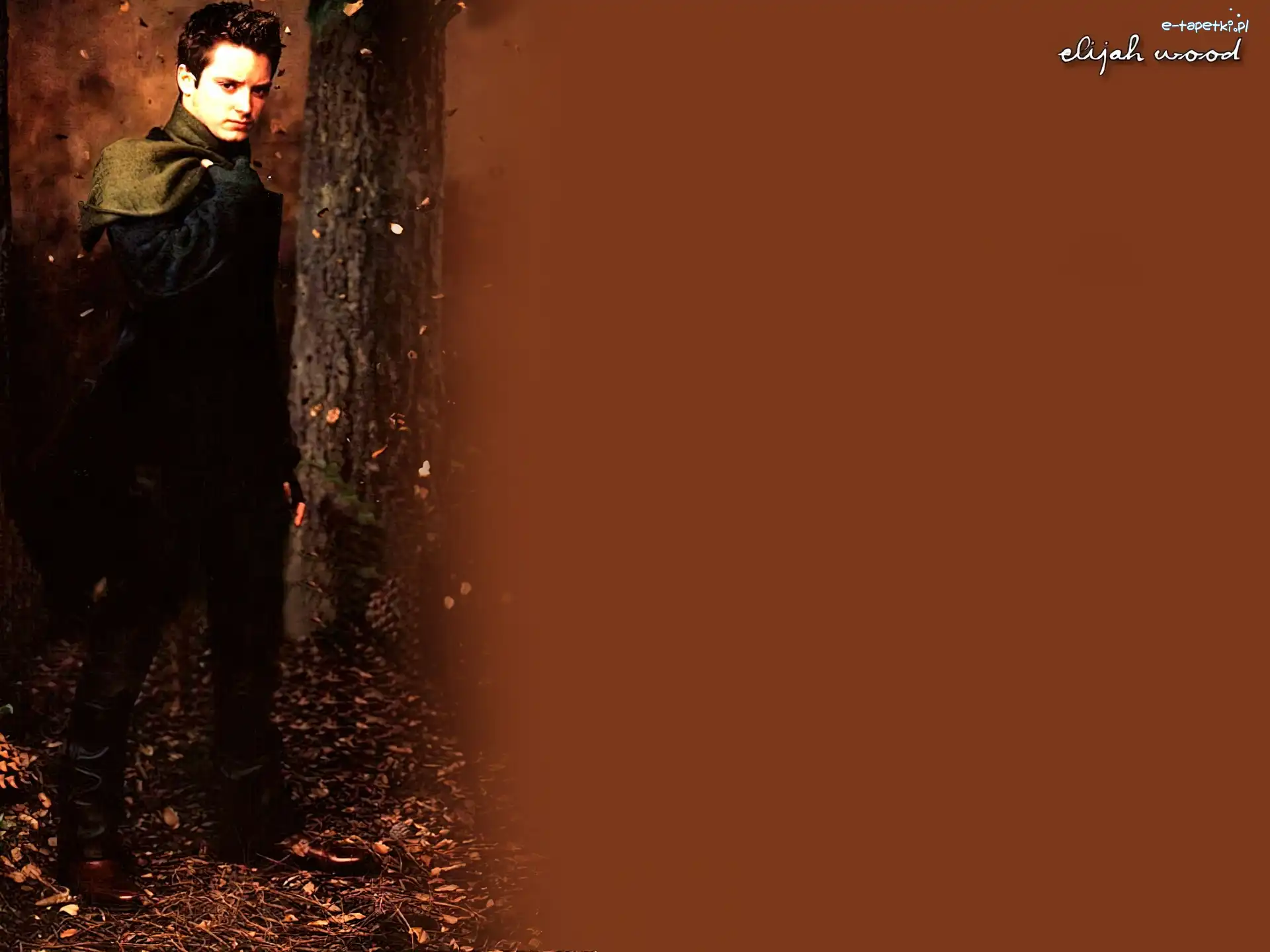 liście, drzewo, Elijah Wood