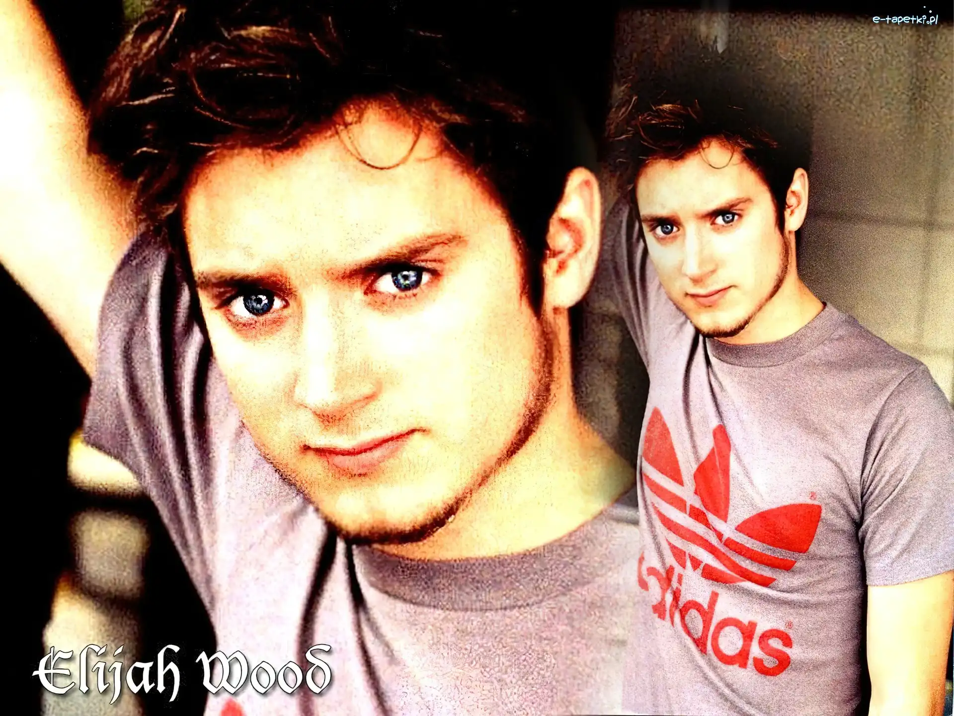 adidas, t-shirt, Elijah Wood