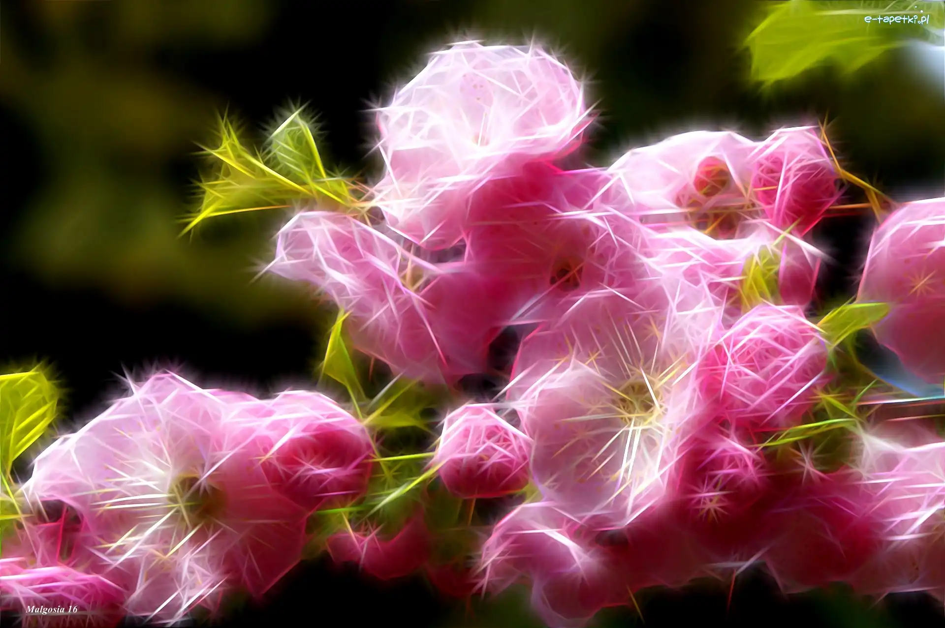Migdałek, Fractalius, Kwiaty, Różowy
