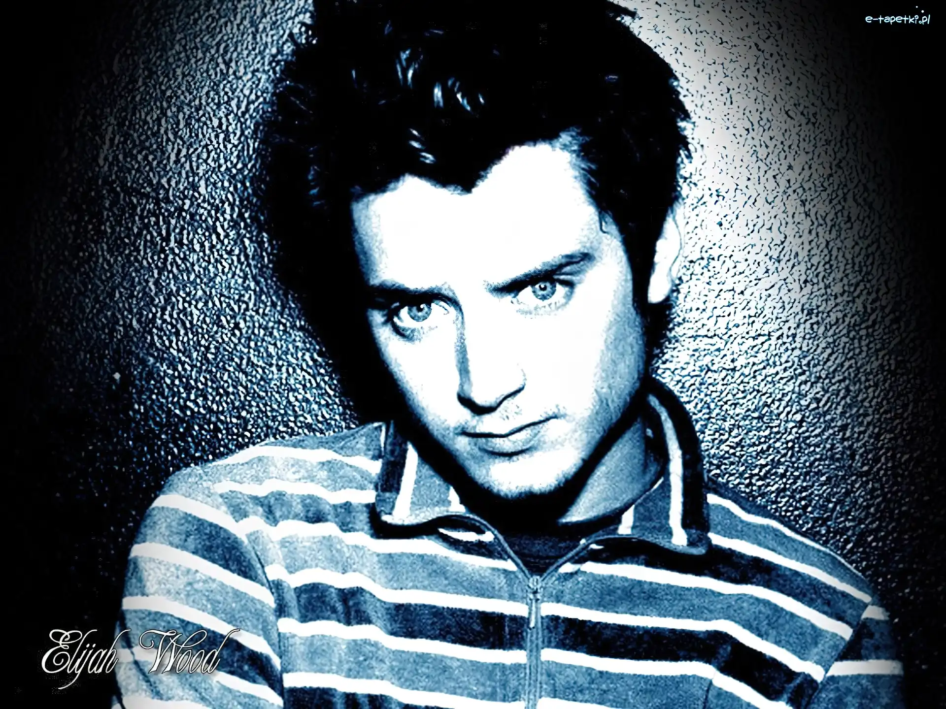 bluza, ciemne włosy, Elijah Wood