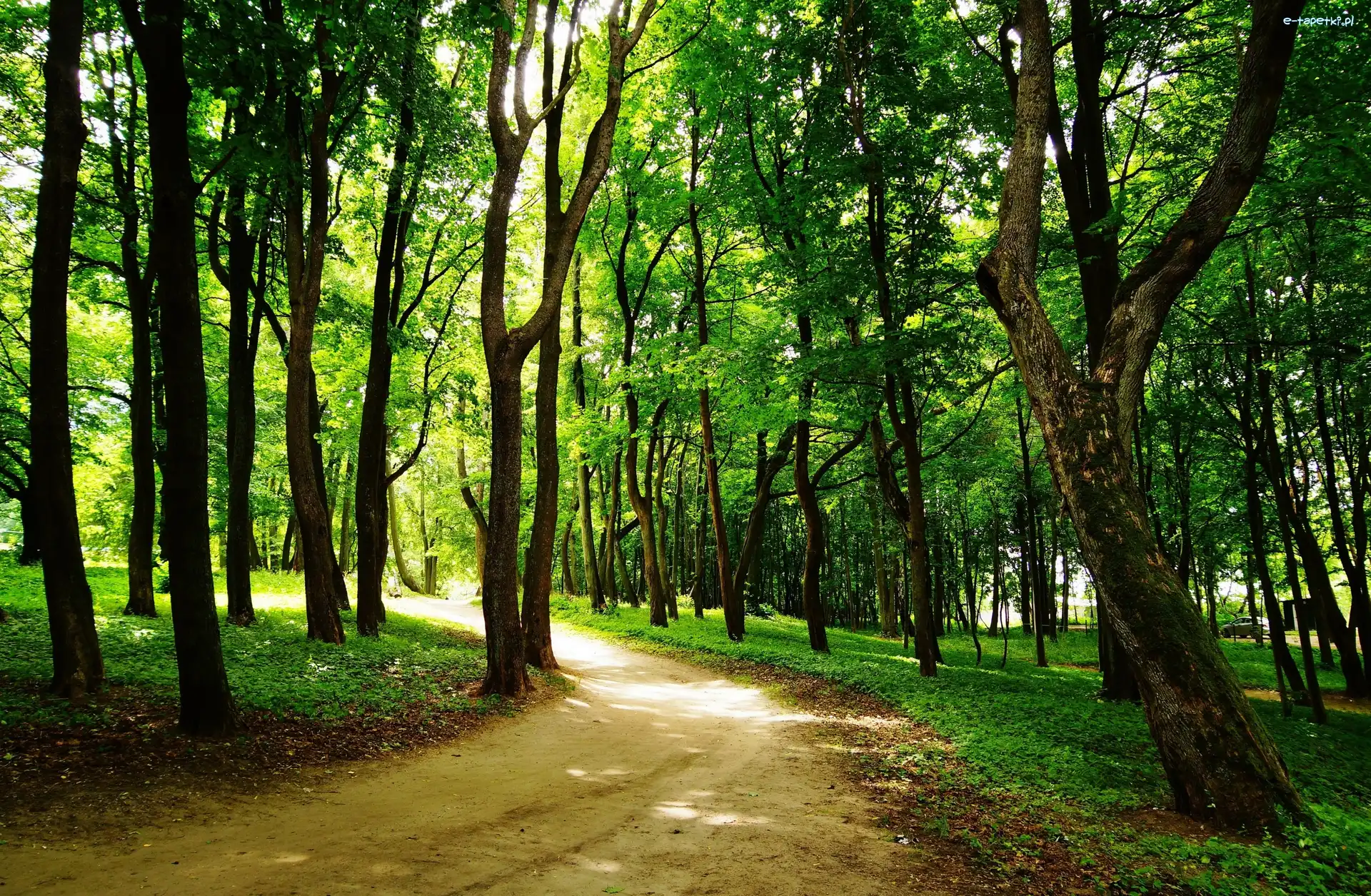 Park