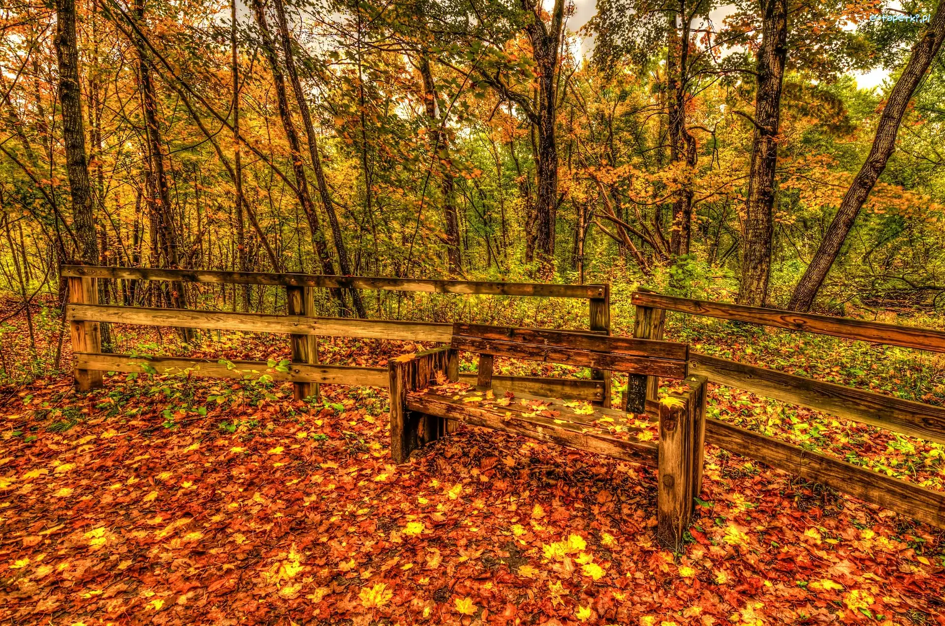 Park, Ławka, Ogrodzenie, Jesień