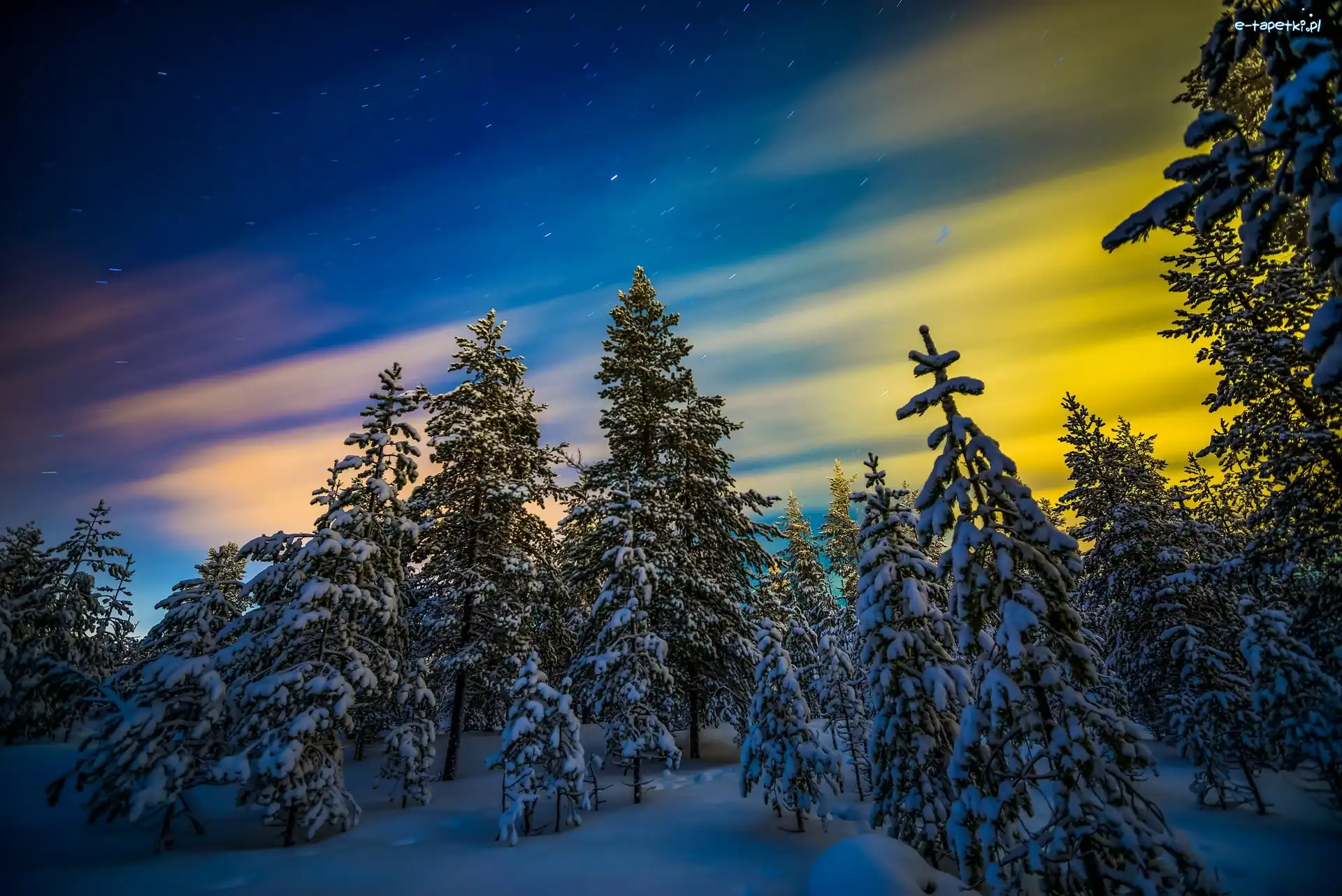 Śnieg, Ośnieżone Drzewa, Zima