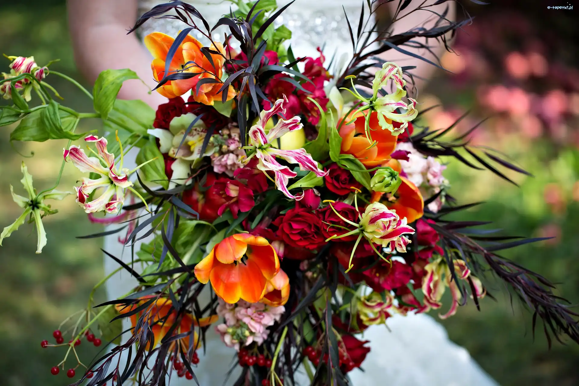 Bukiet Kwiatów, Tulipany, Róża, Alstroemeria, Orchidea