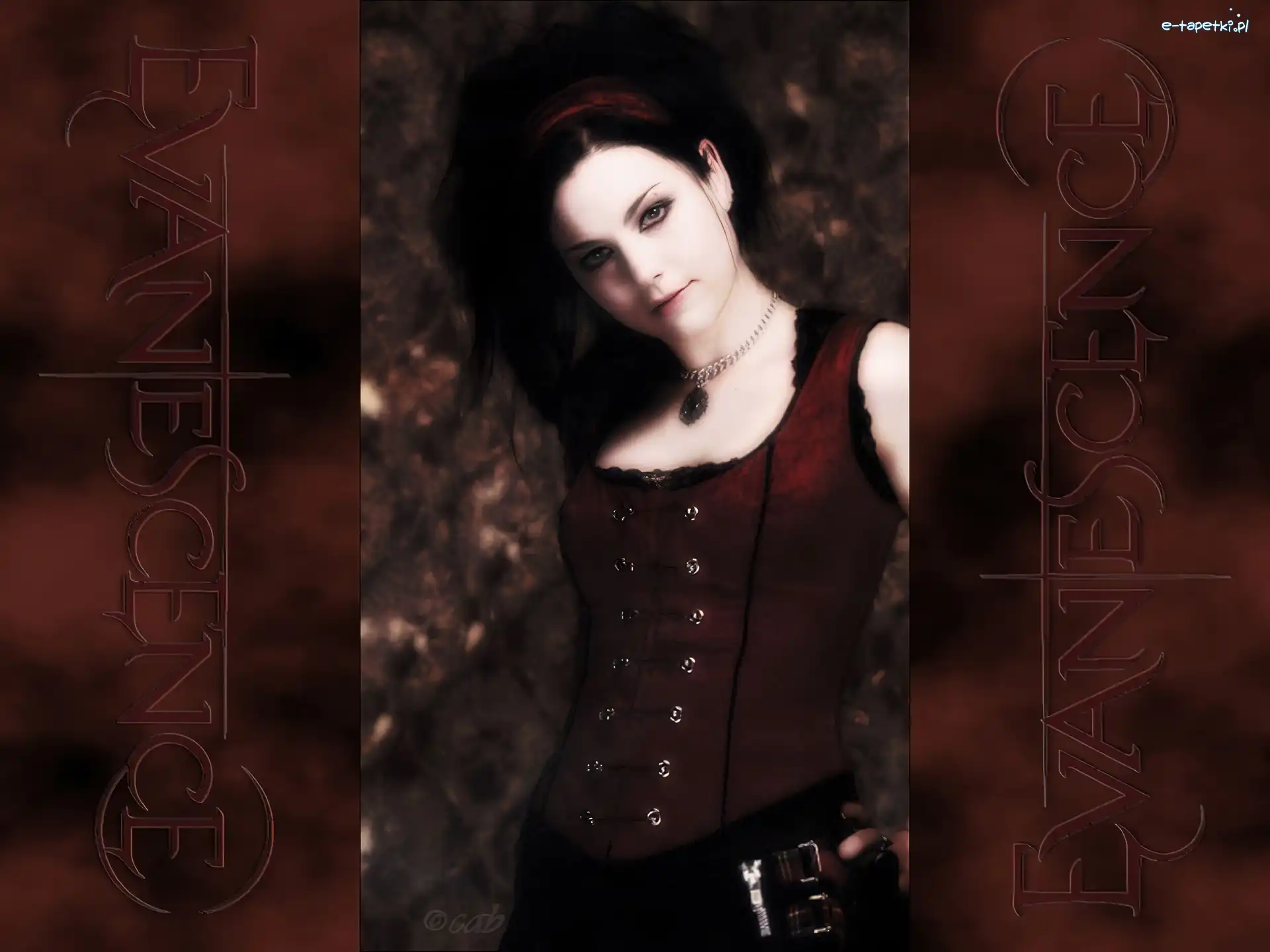 Wokalistka, Evanescence, Amy Lee