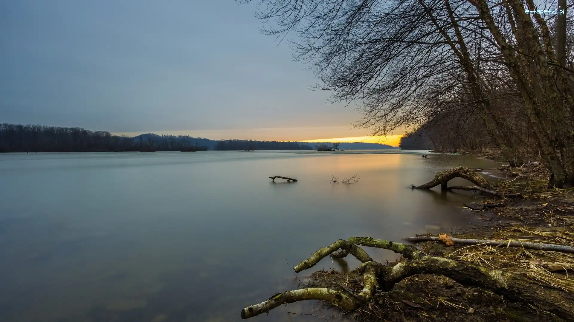 Słońca, Drzewa, Jezioro, Wschód