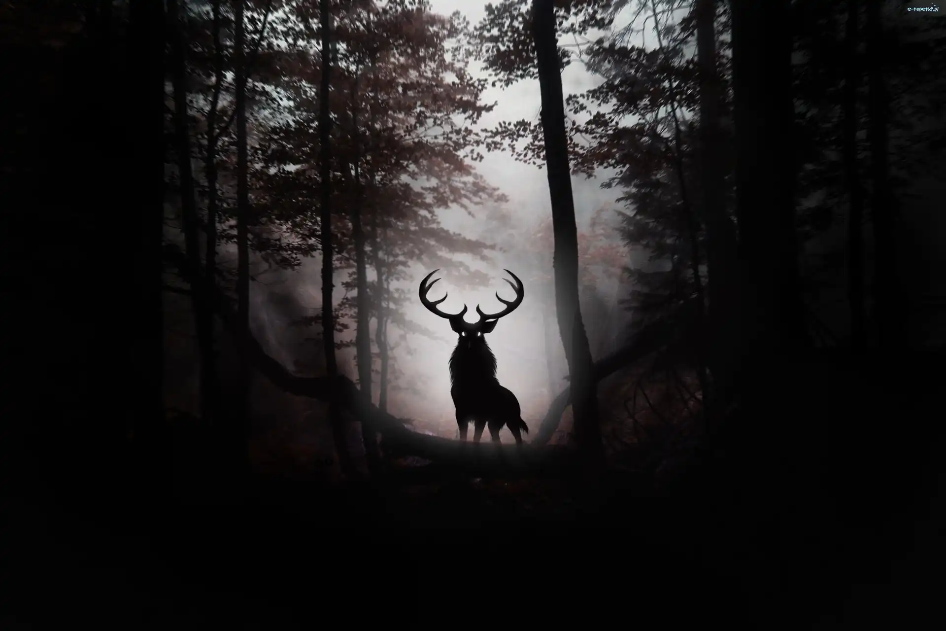 Fantasy, Las