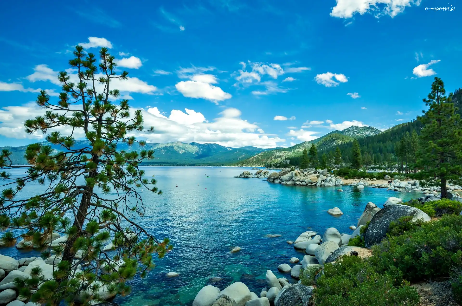 Tahoe, Kamienie, Jezioro, Sierra Nevada, Las, Góry