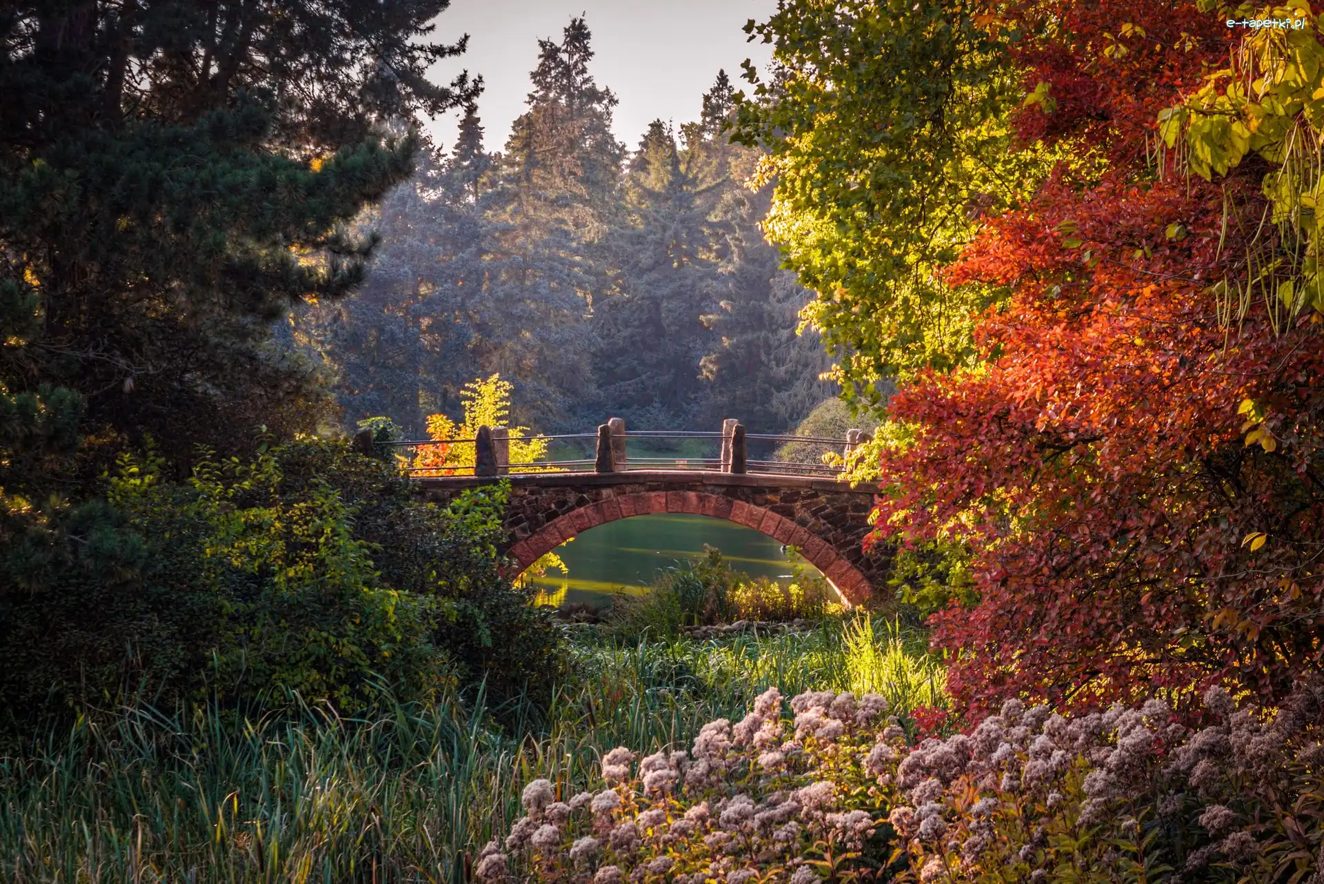 Most, Ogród Botaniczny, Berlin