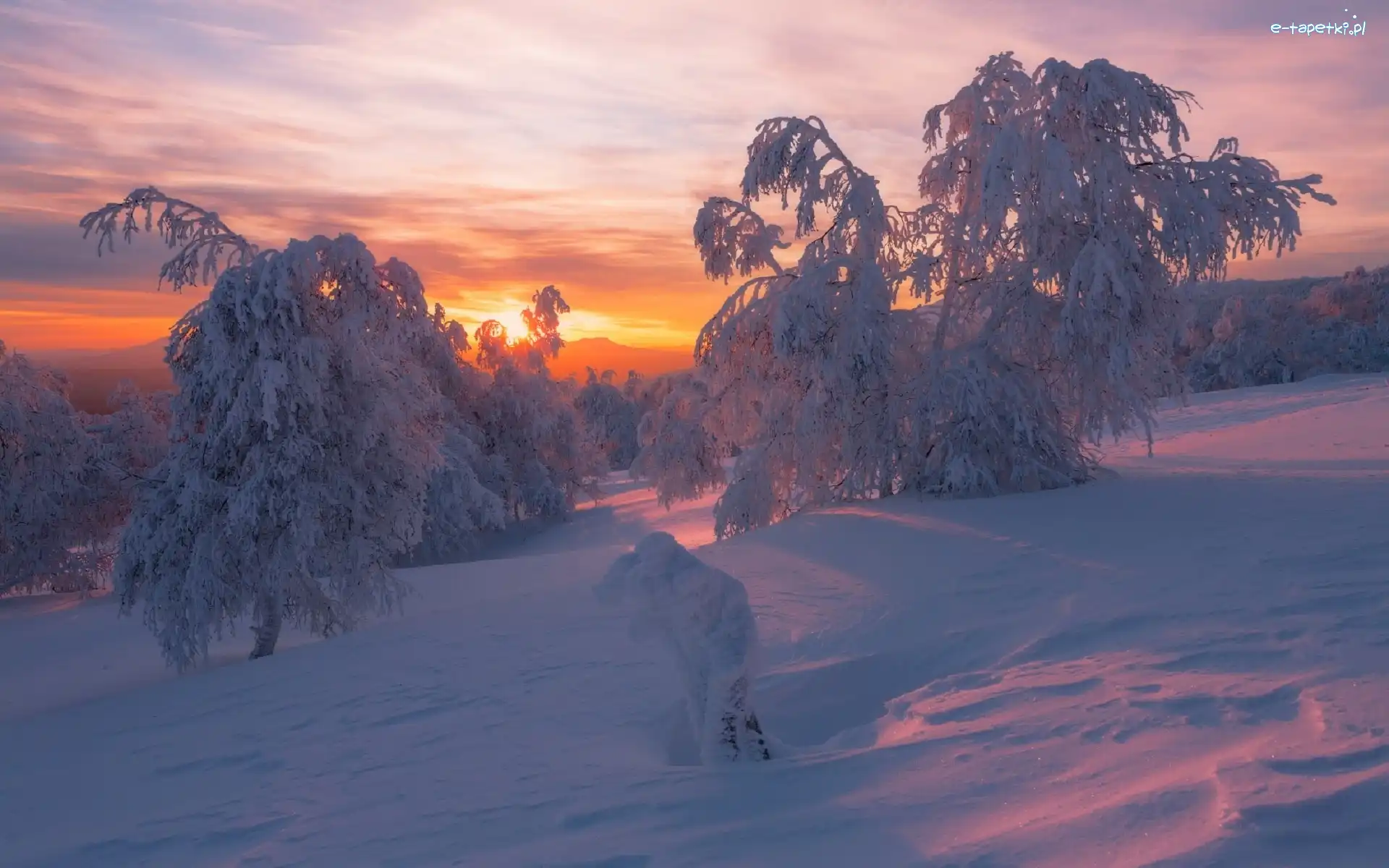 Wschód słońca, Śnieg, Zima