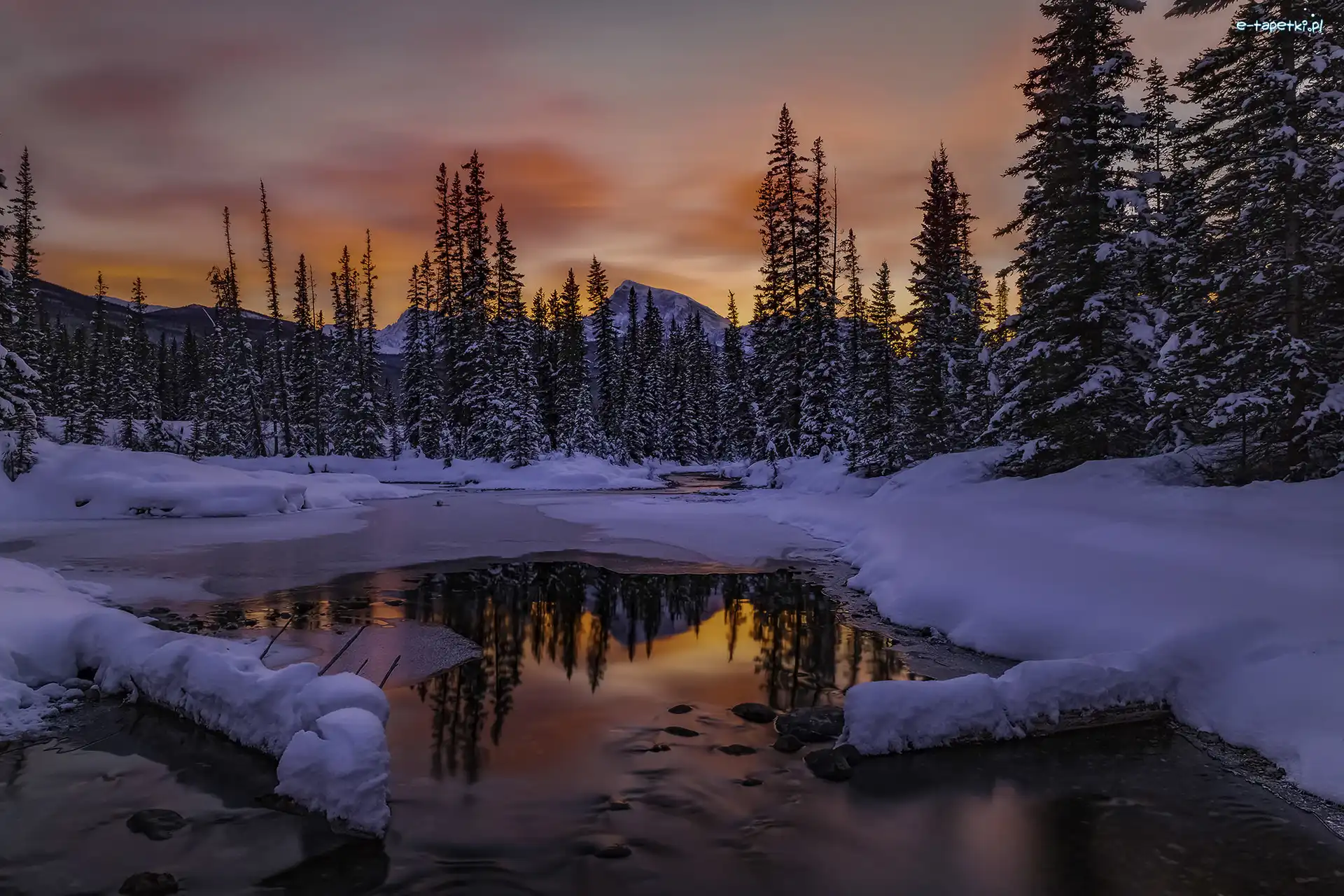 Rzeka, Zima, Las, Zachód Słońca, Park Narodowy Banff, Kanada