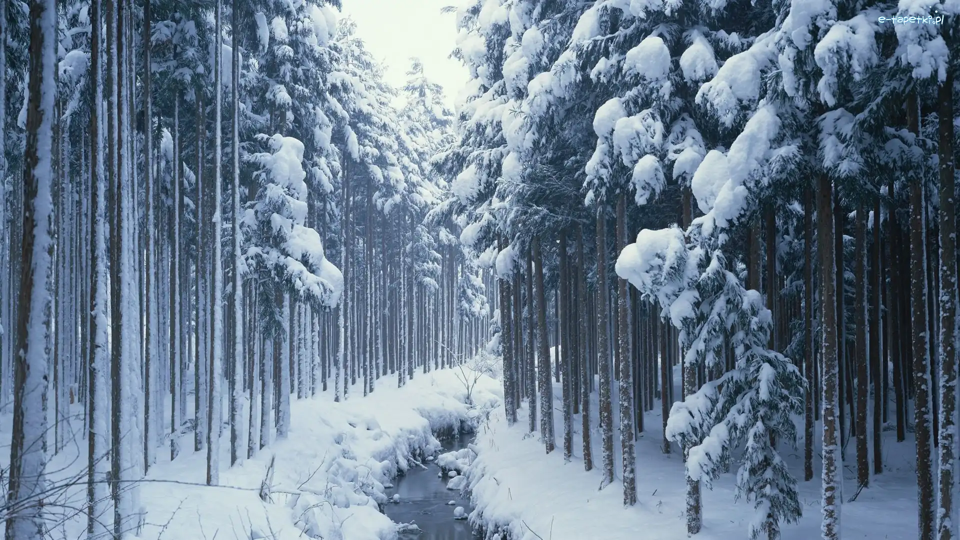 Śnieg, Rzeczka, Las, Zima