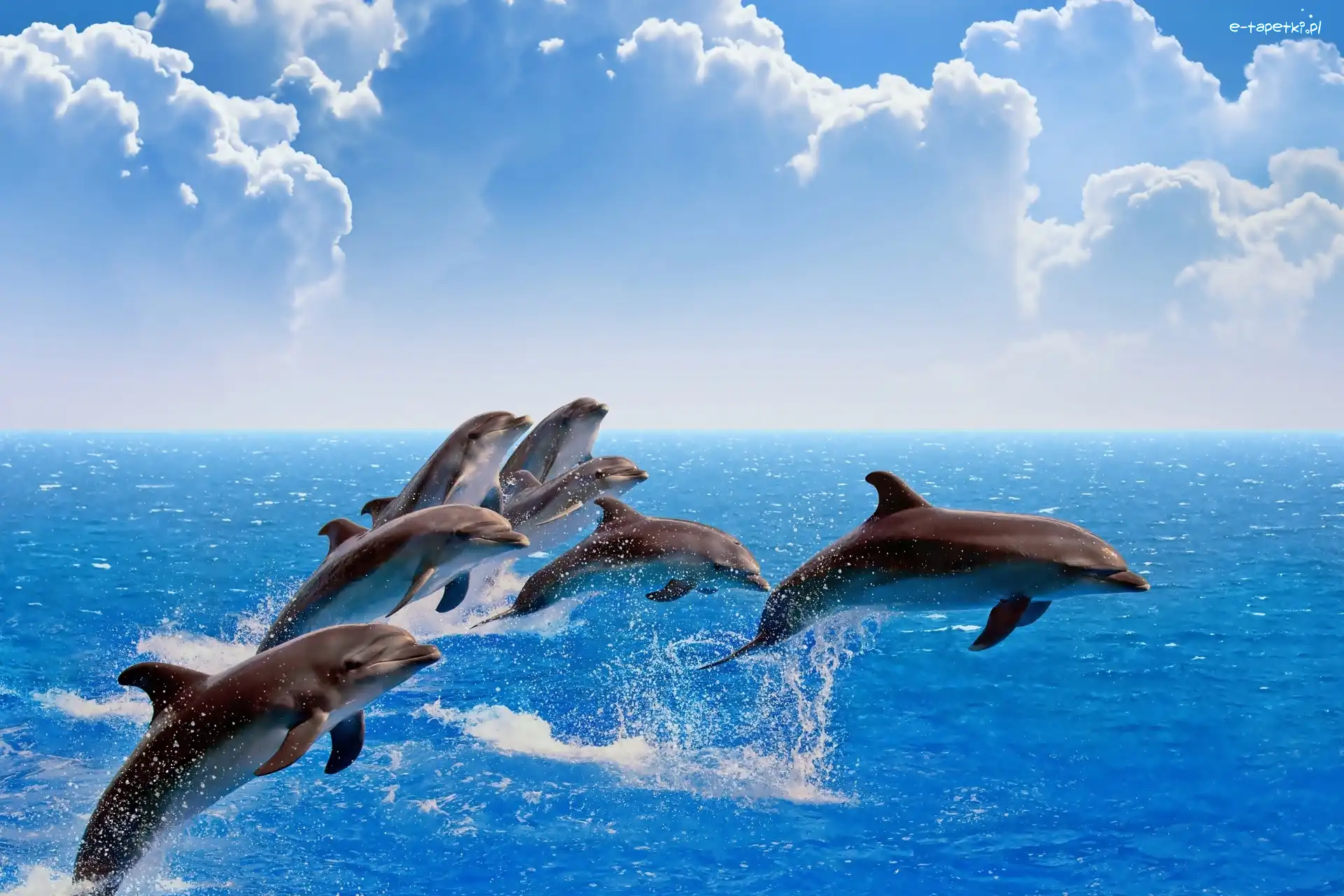Chmury, Morze, Delfiny