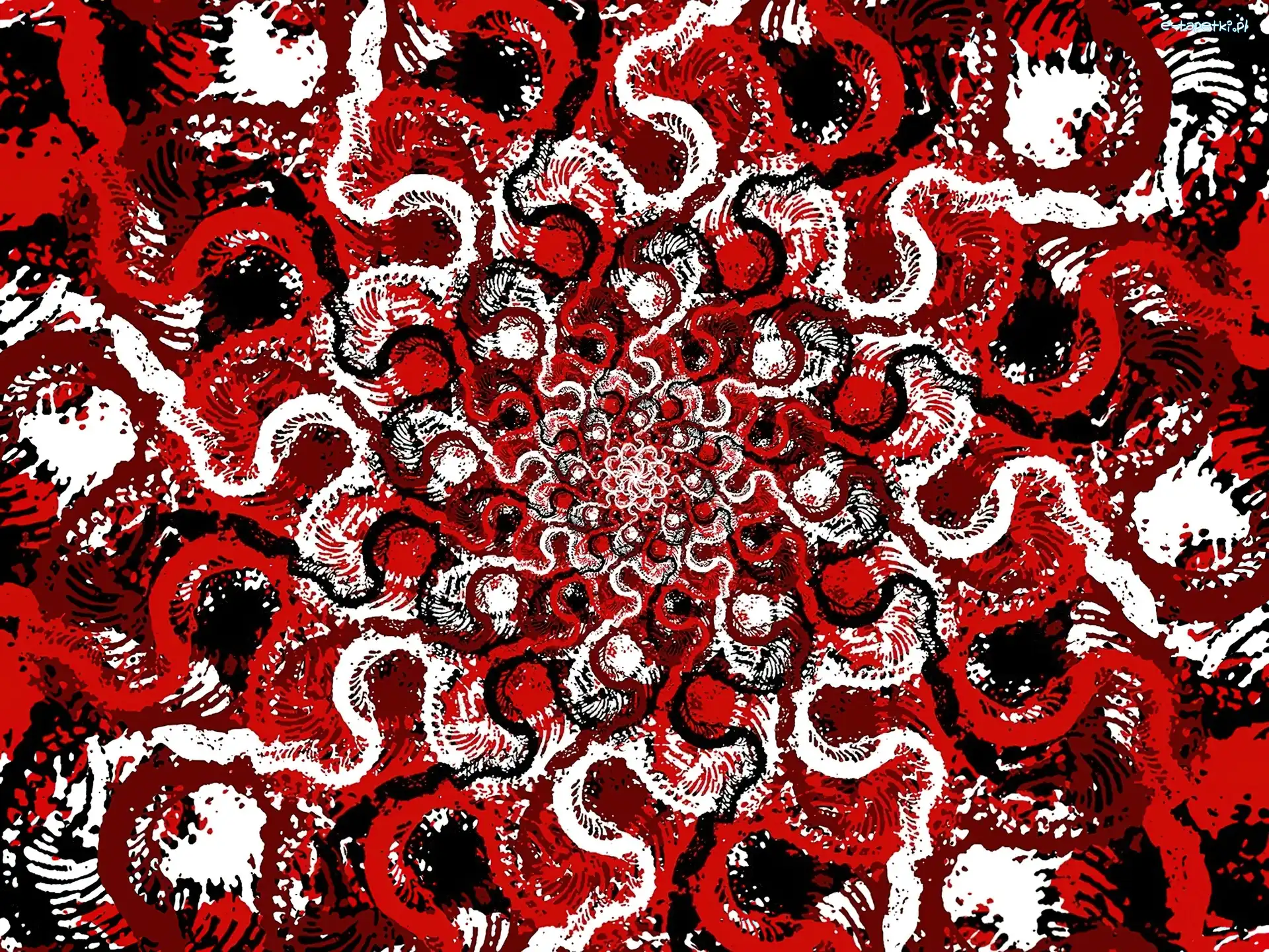 wzorki kolorowe, Converge