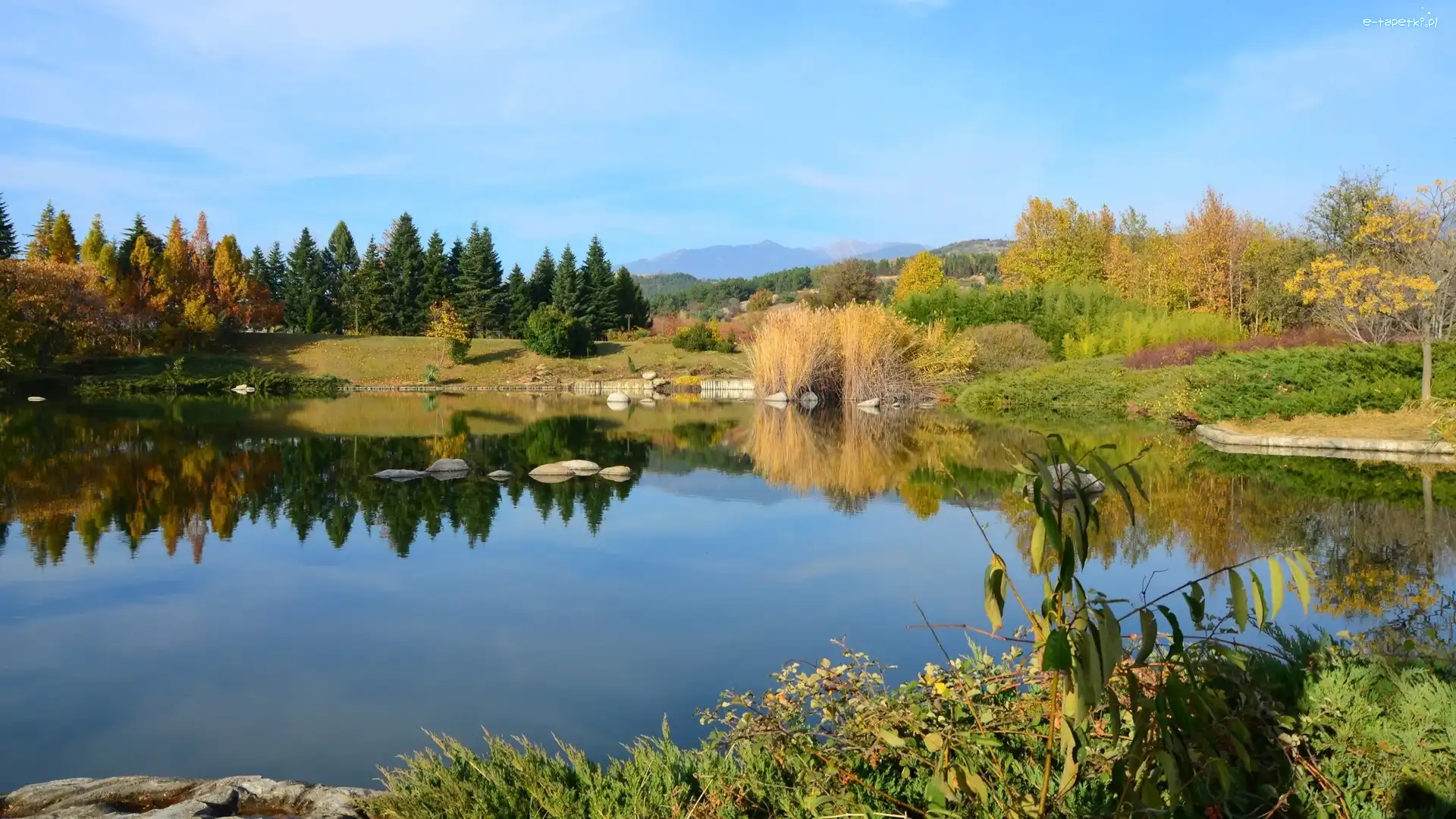 Las, Jezioro, Jesień