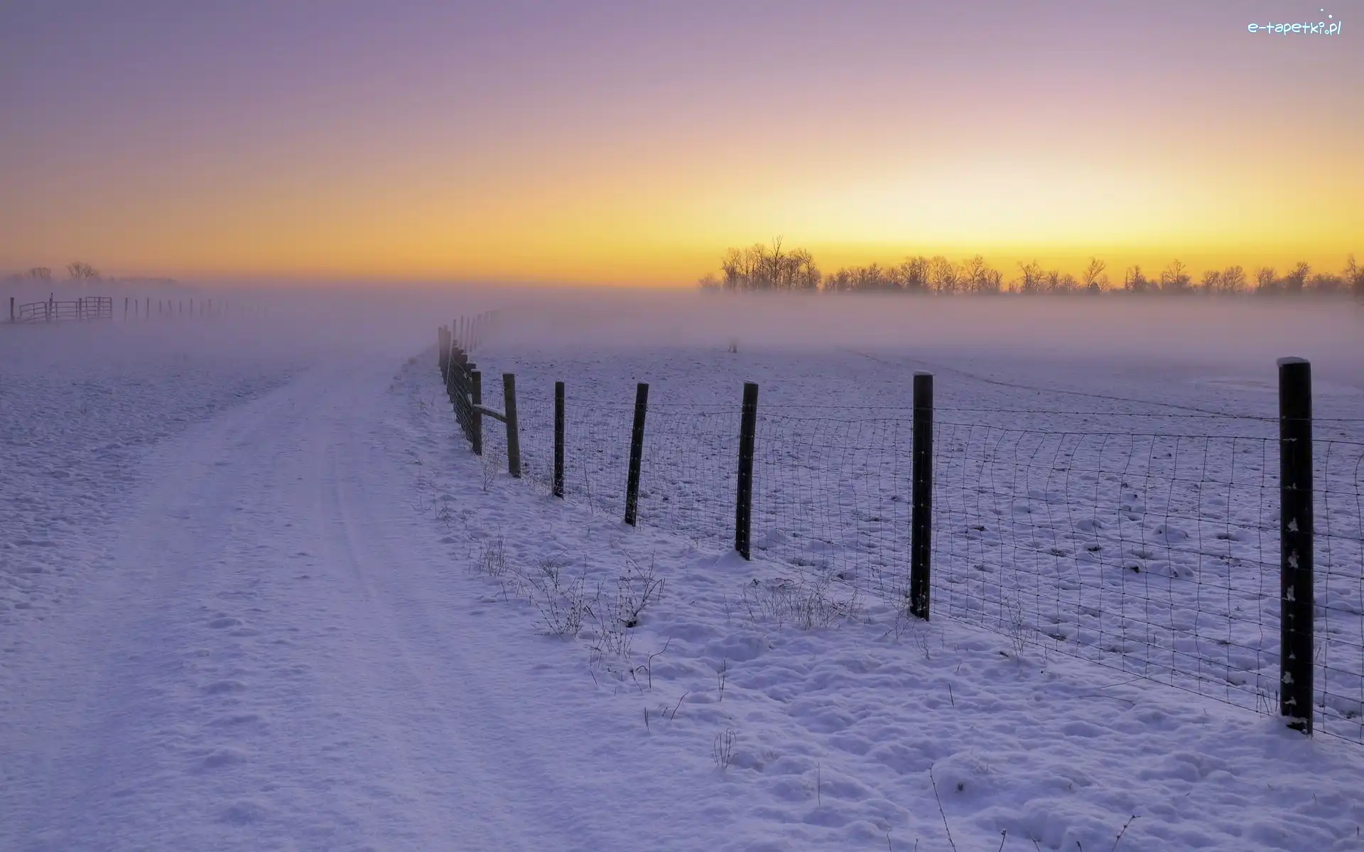 Pole, Droga, Śnieg, Wschód słońca, Ogrodzenie