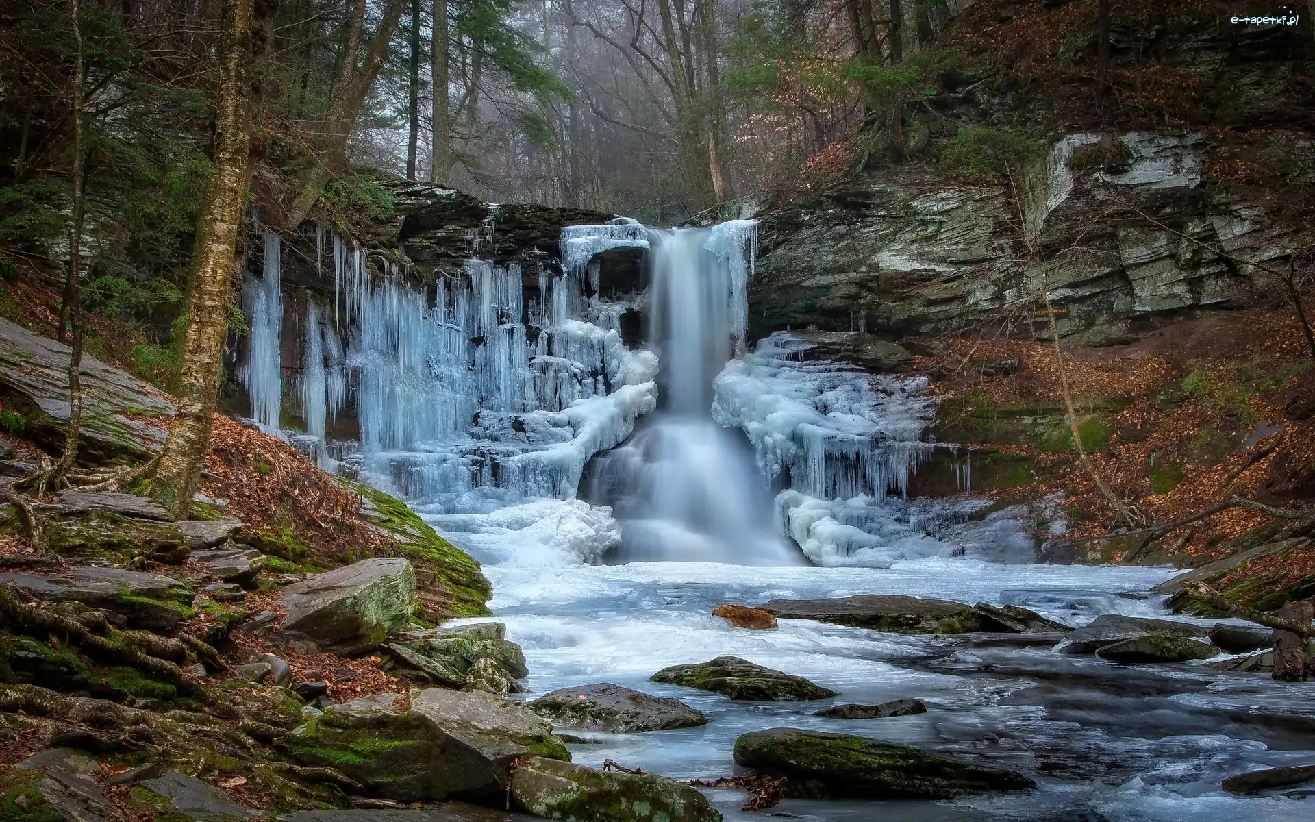 Wodospad, USA, Ricketts Gen State Park, Zamarznięty