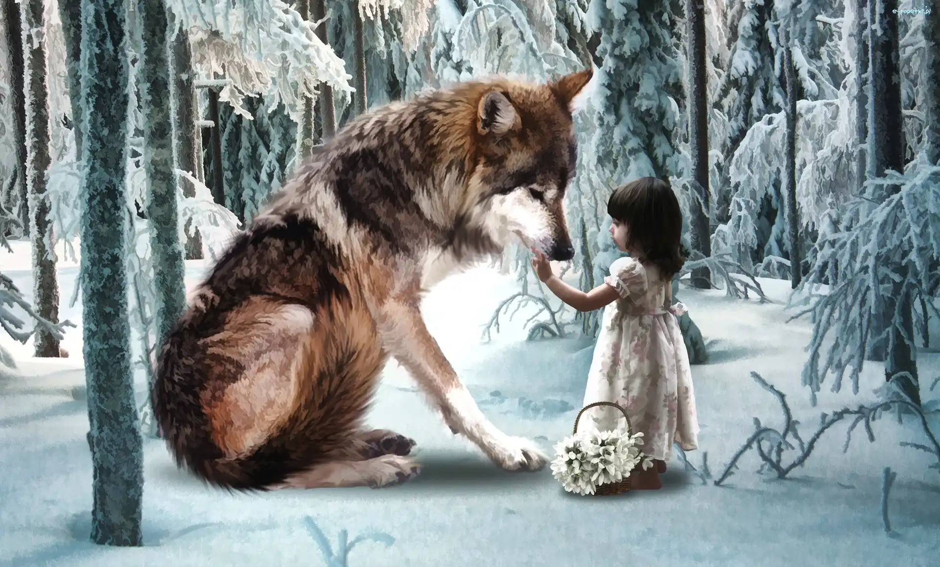 Wilk, Fantasy, Dziewczynka, Las