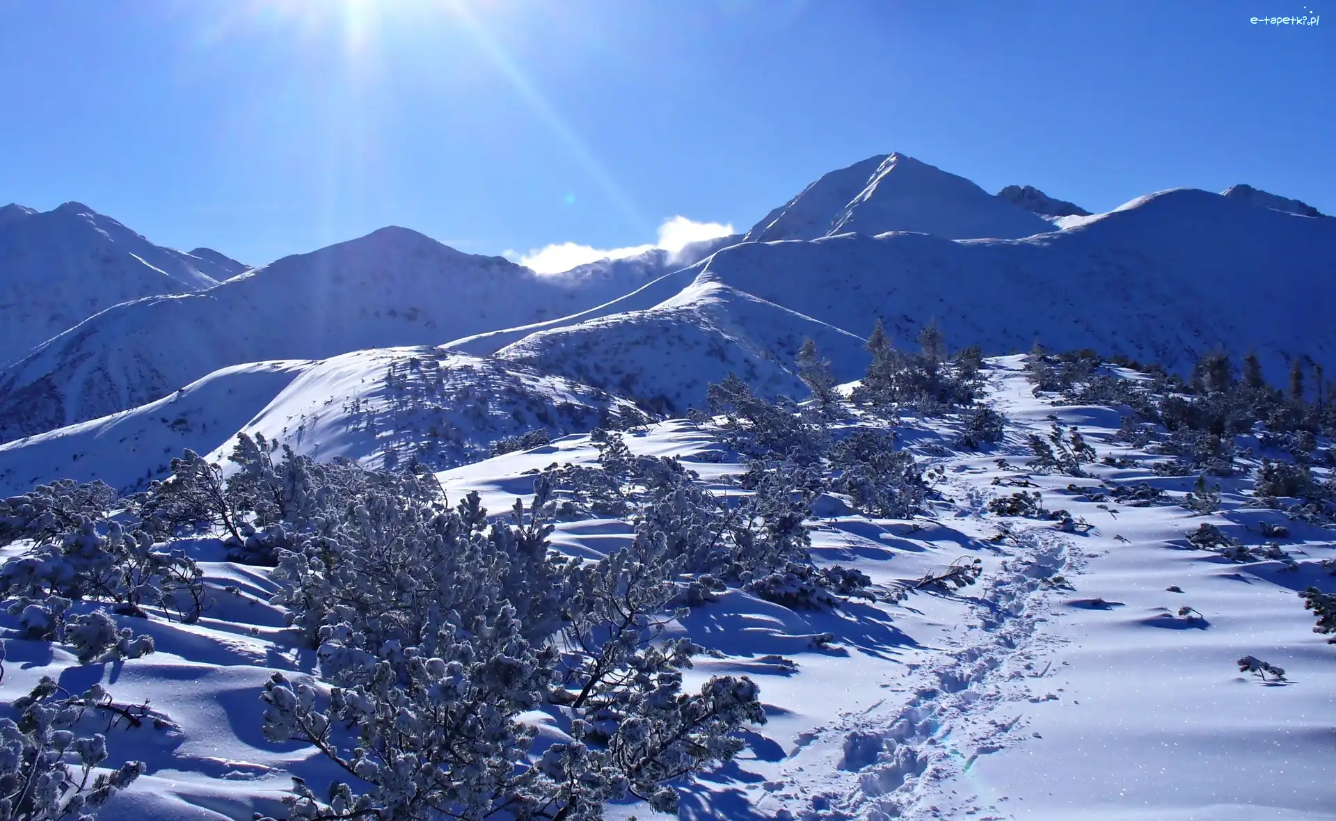 Polska, Promienie Słońca, Zima, Tatry