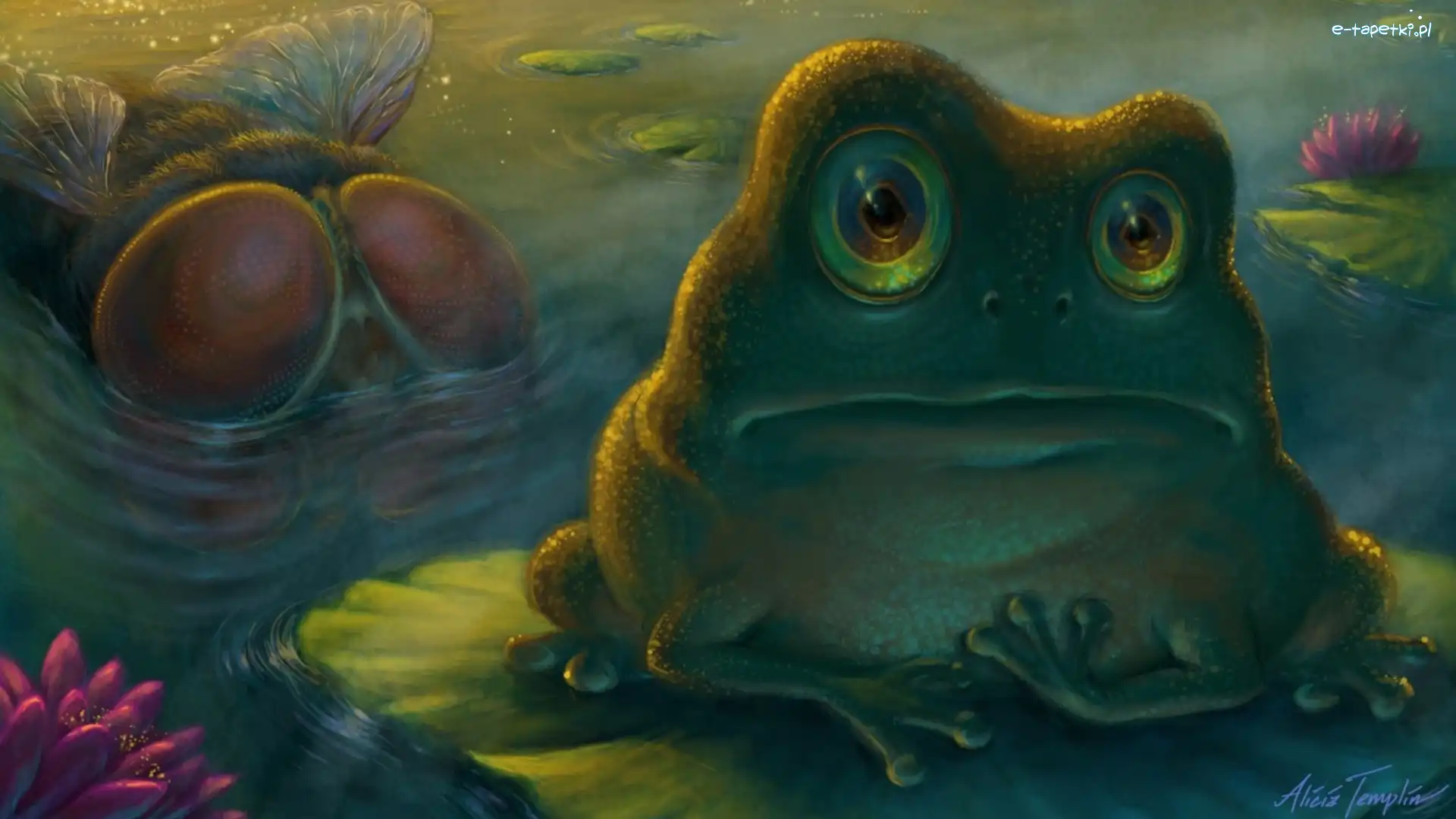 Fantasy, Żaba, Mucha