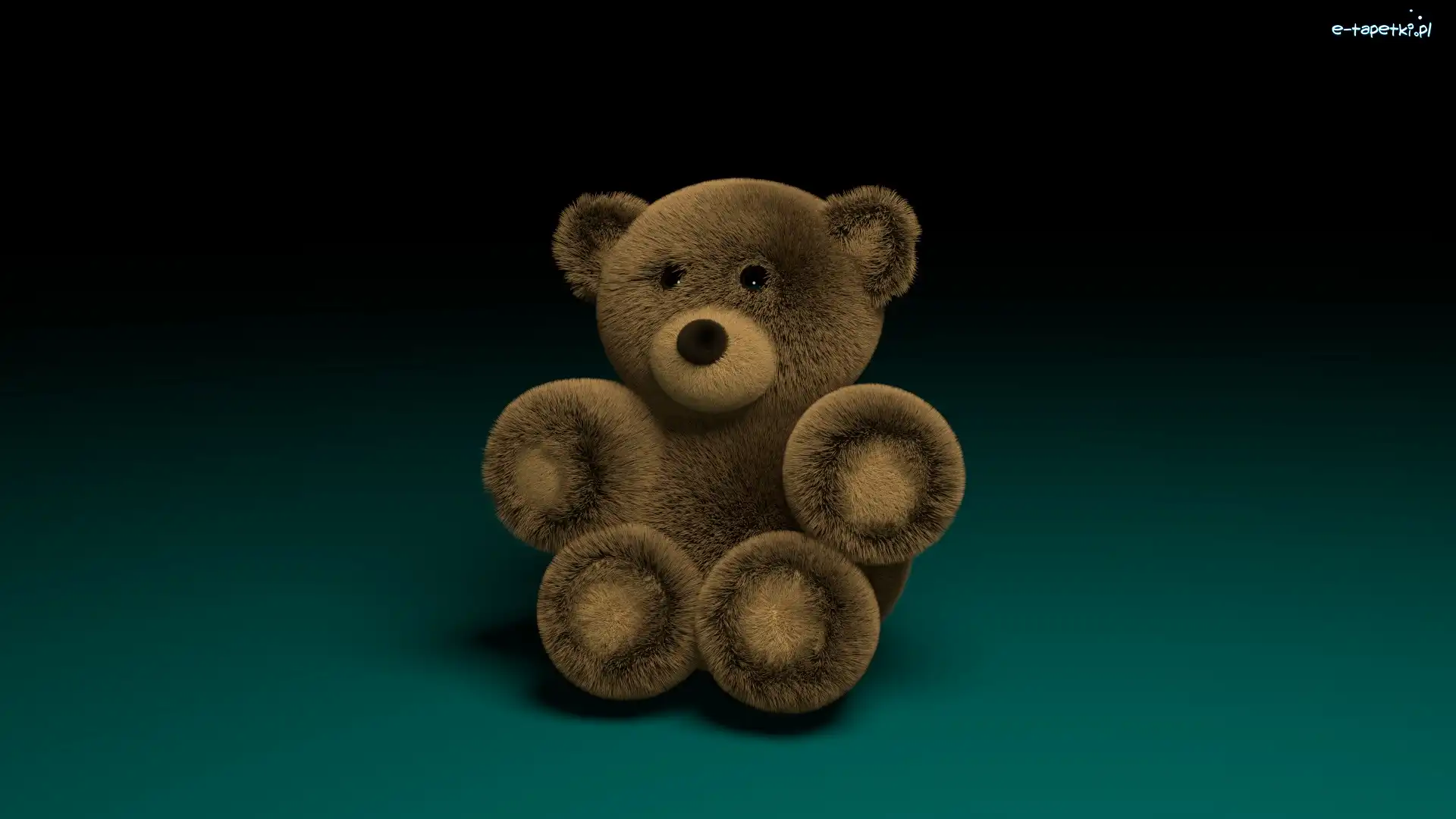 Miś, 3D