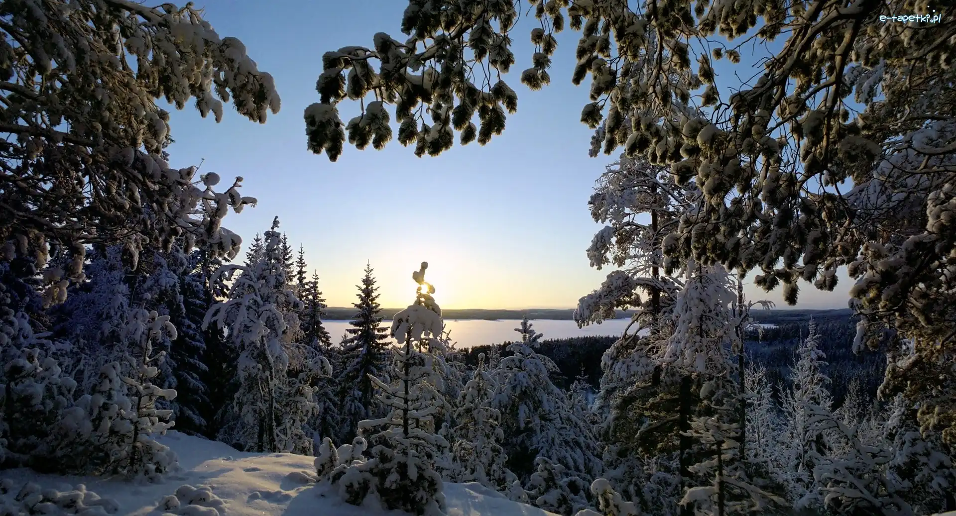 Drzewa, Jezioro, Śnieg, Zima