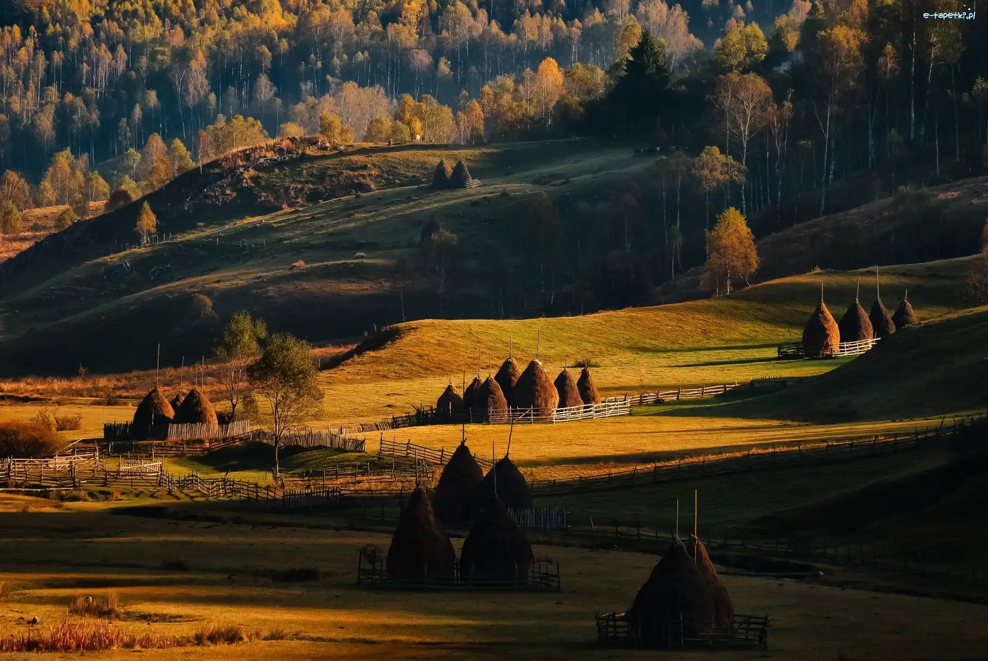 Wzgórza, Pola, Jesień