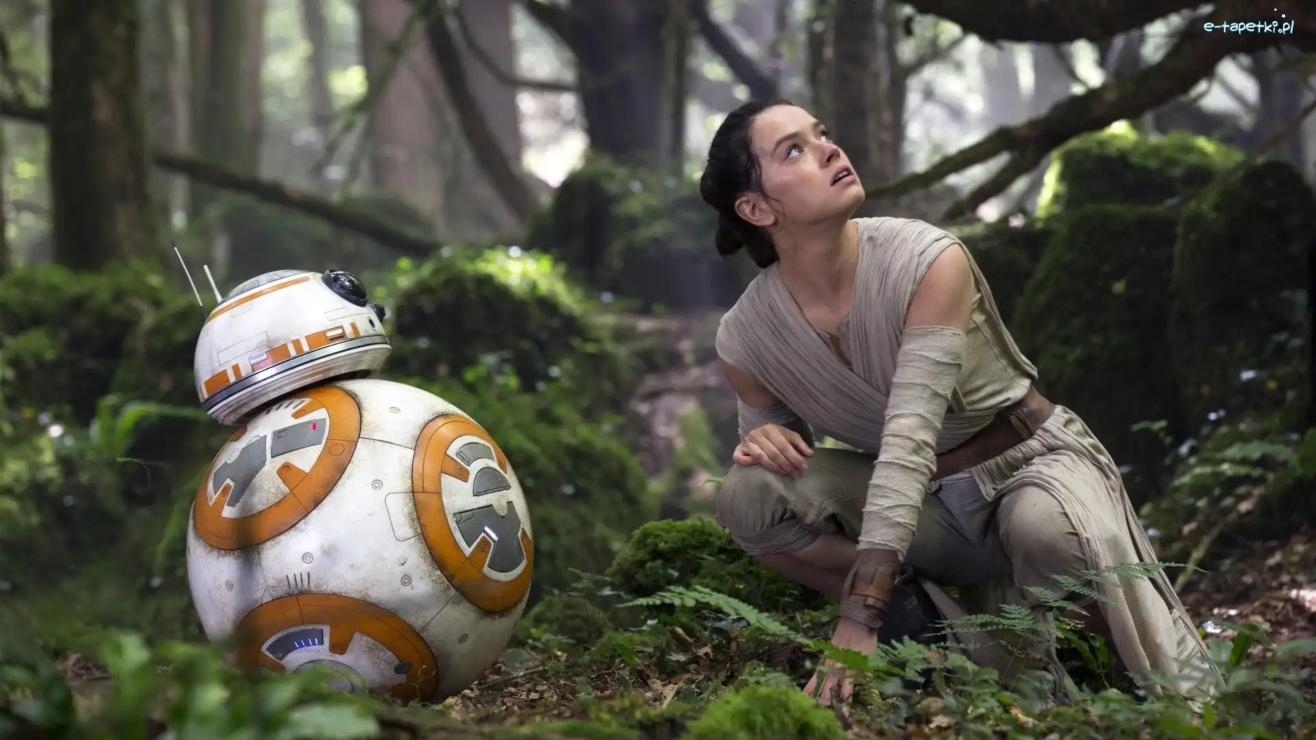 Film, Daisy Ridley, Aktorka, Gwiezdne Wojny, Dziewczyna, Robot