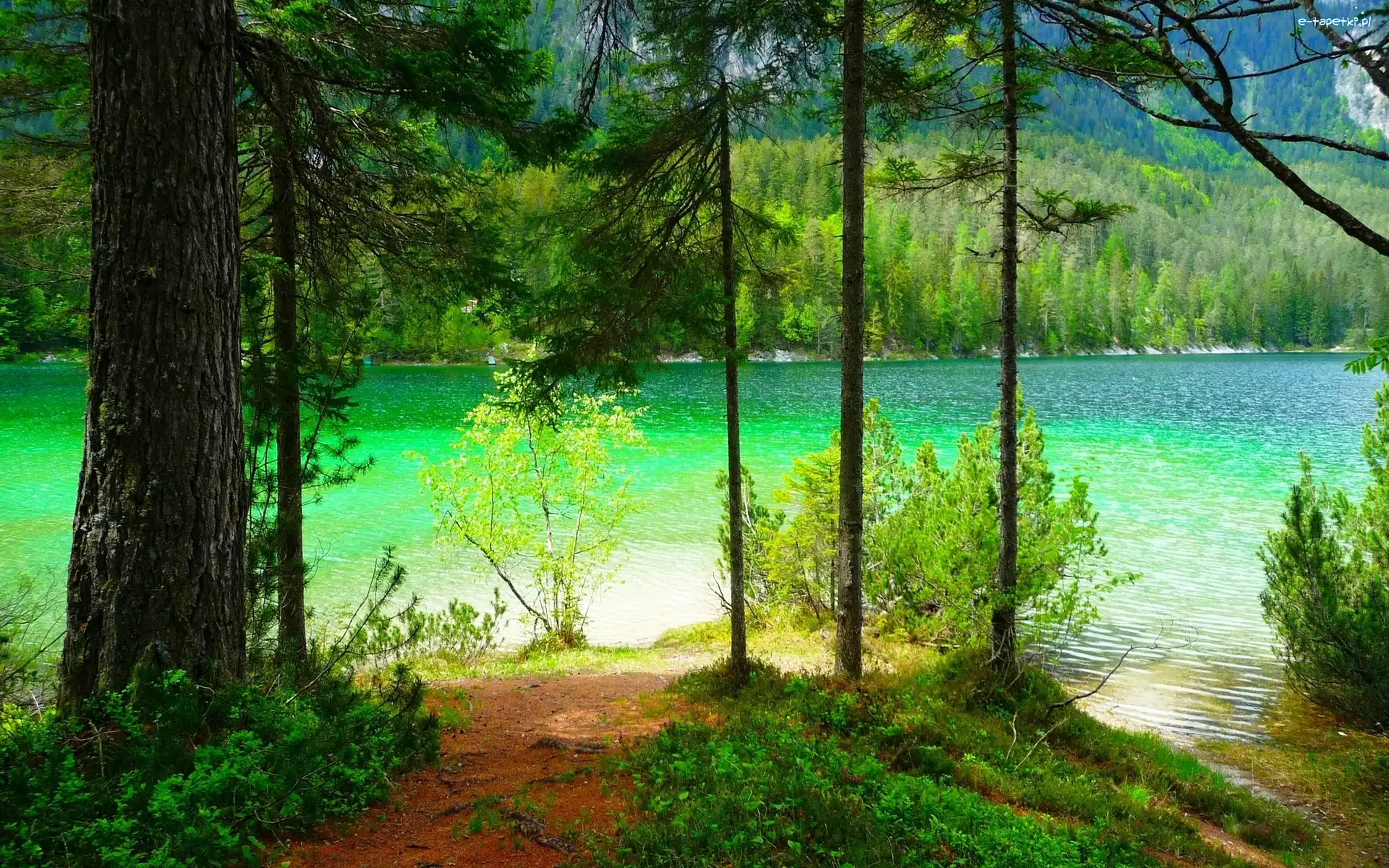 Las, Góry, Jezioro