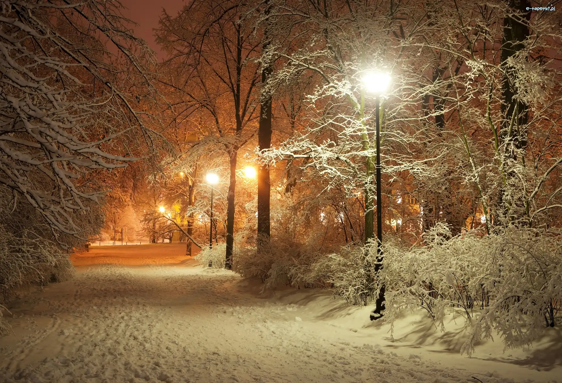 Latarnia, Park, Zima