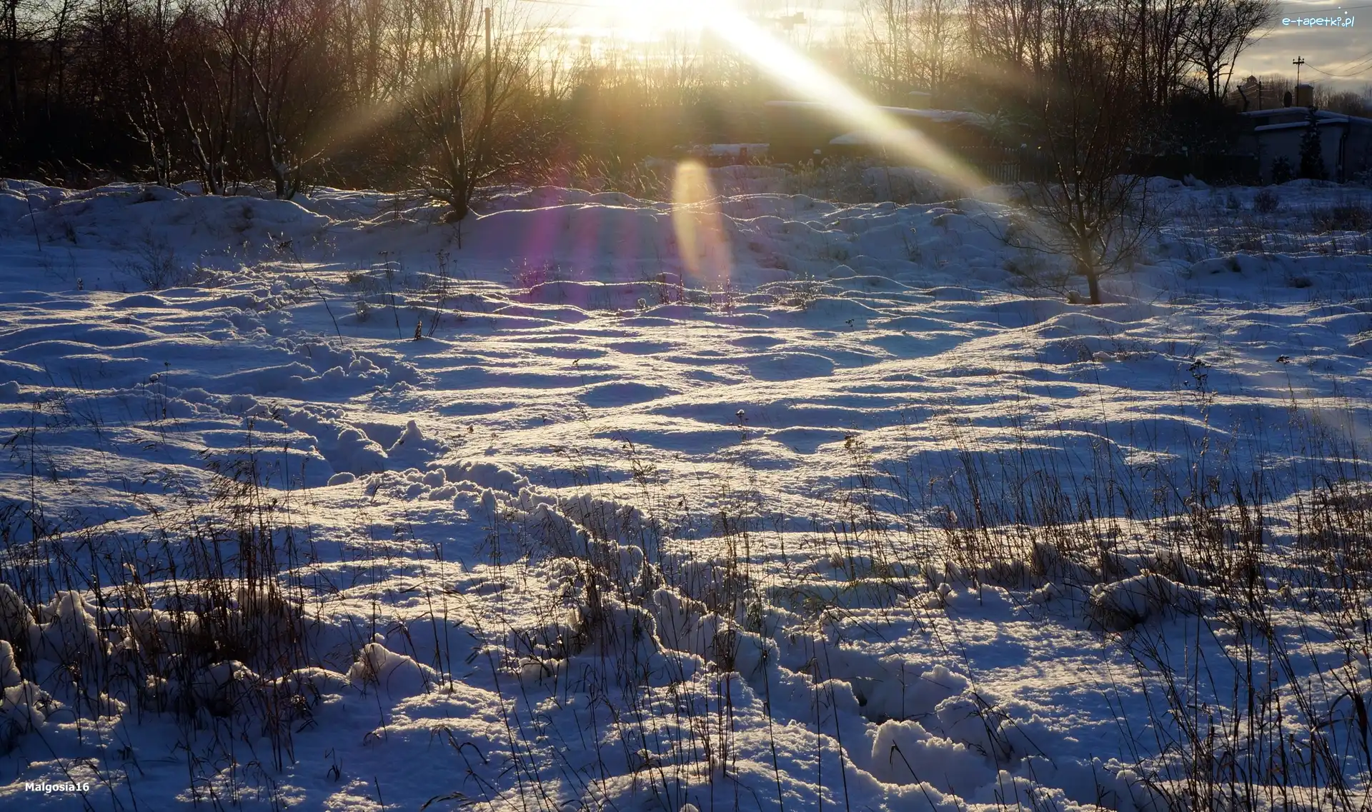 Śnieg, Słońca, Promienie, Zima