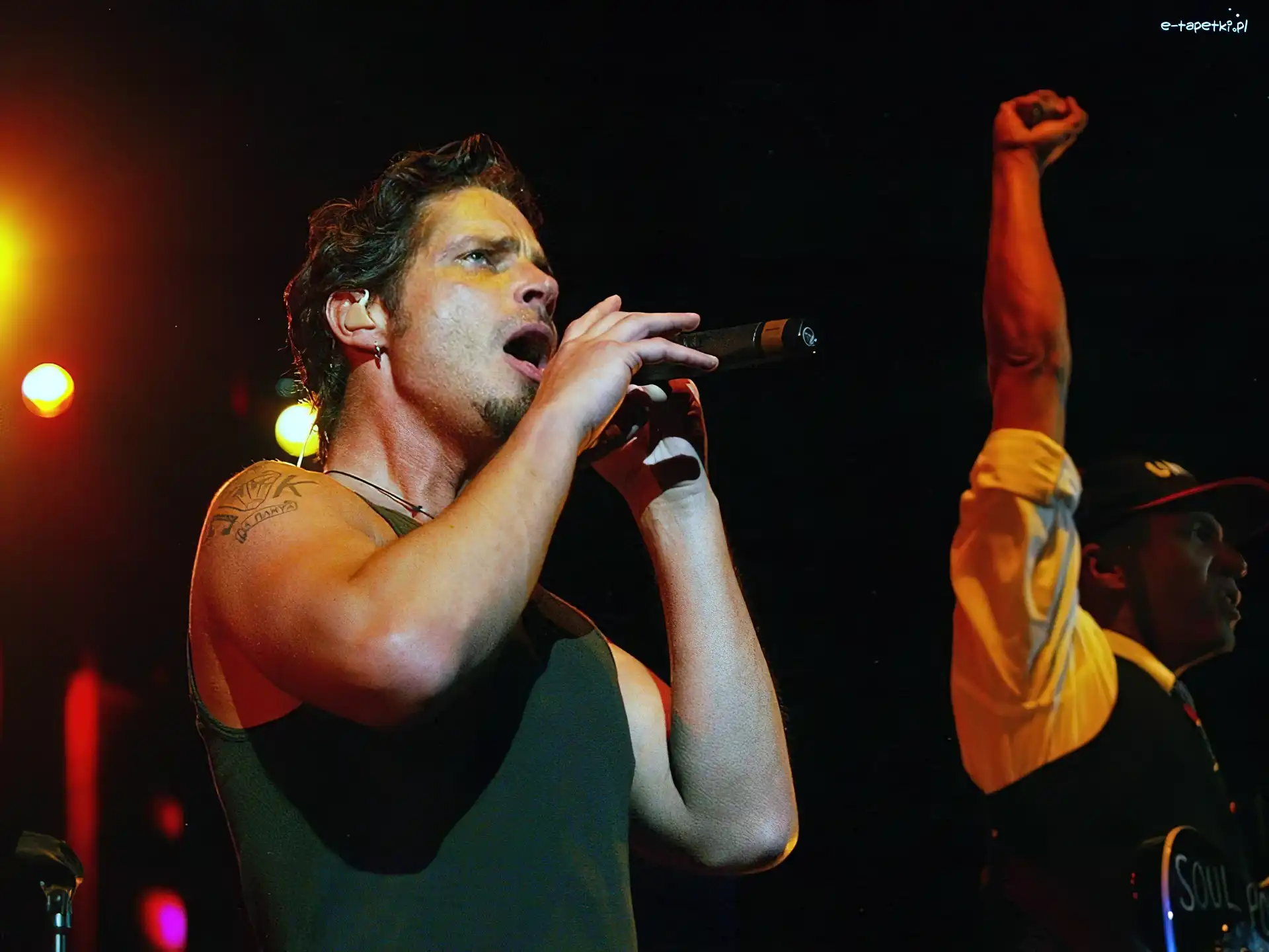 mikrofon, facet, Audioslave