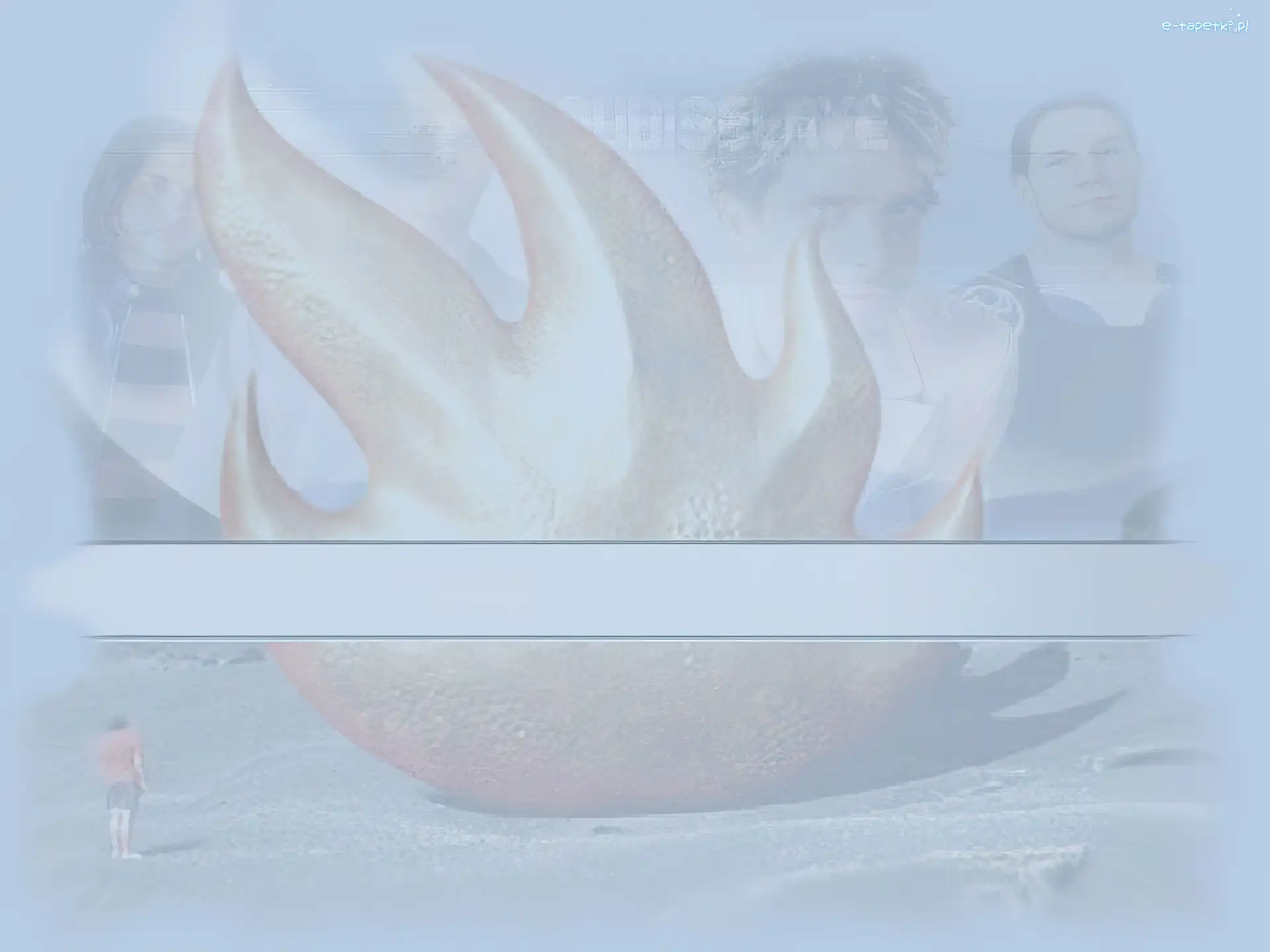 twarze zespołu, Audioslave