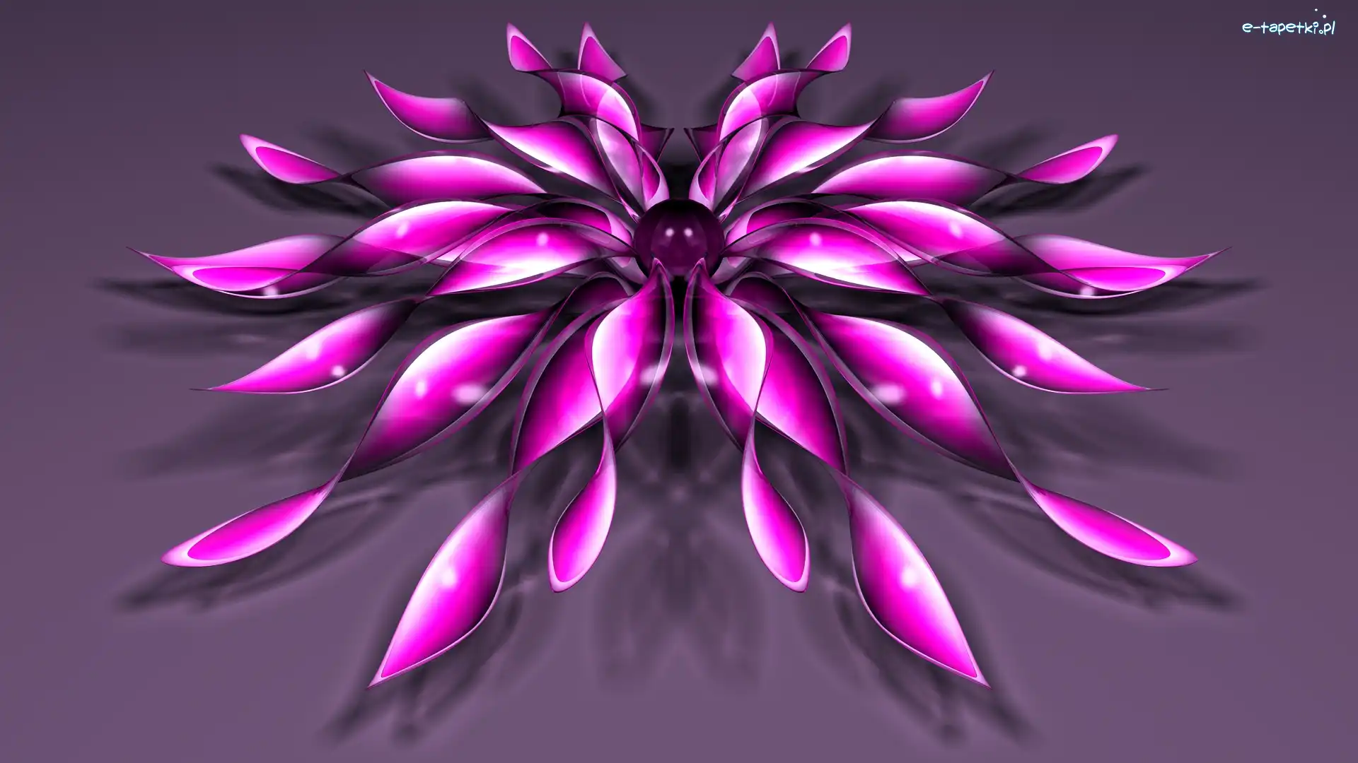 3D, Kwiat, Purpurowy, Grafika
