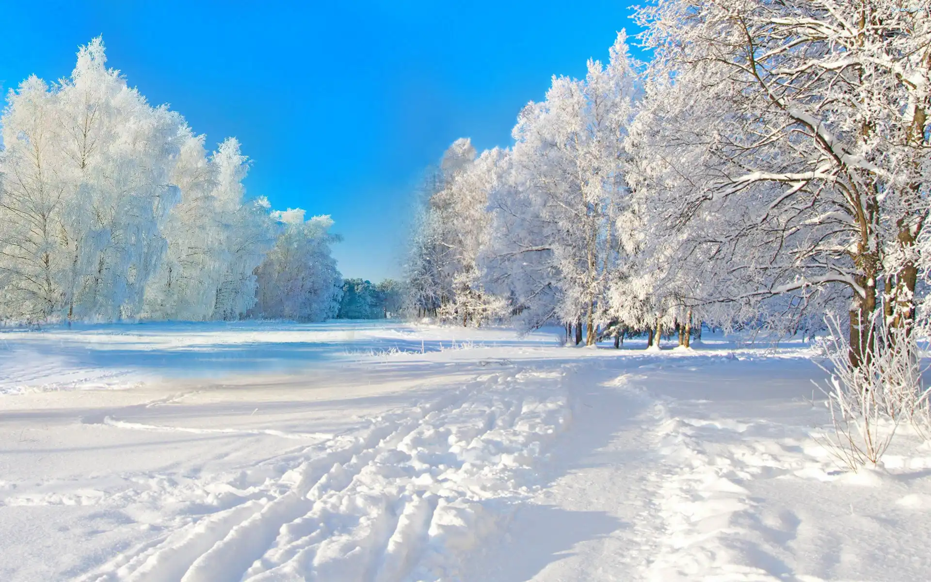 Park, Śnieg, Zima