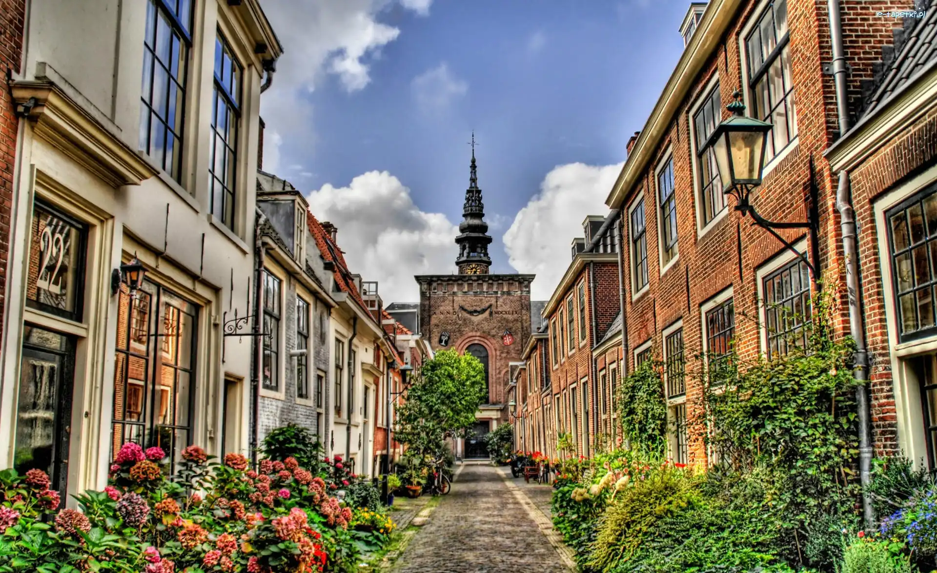 HDR, Roślinność, Miasto