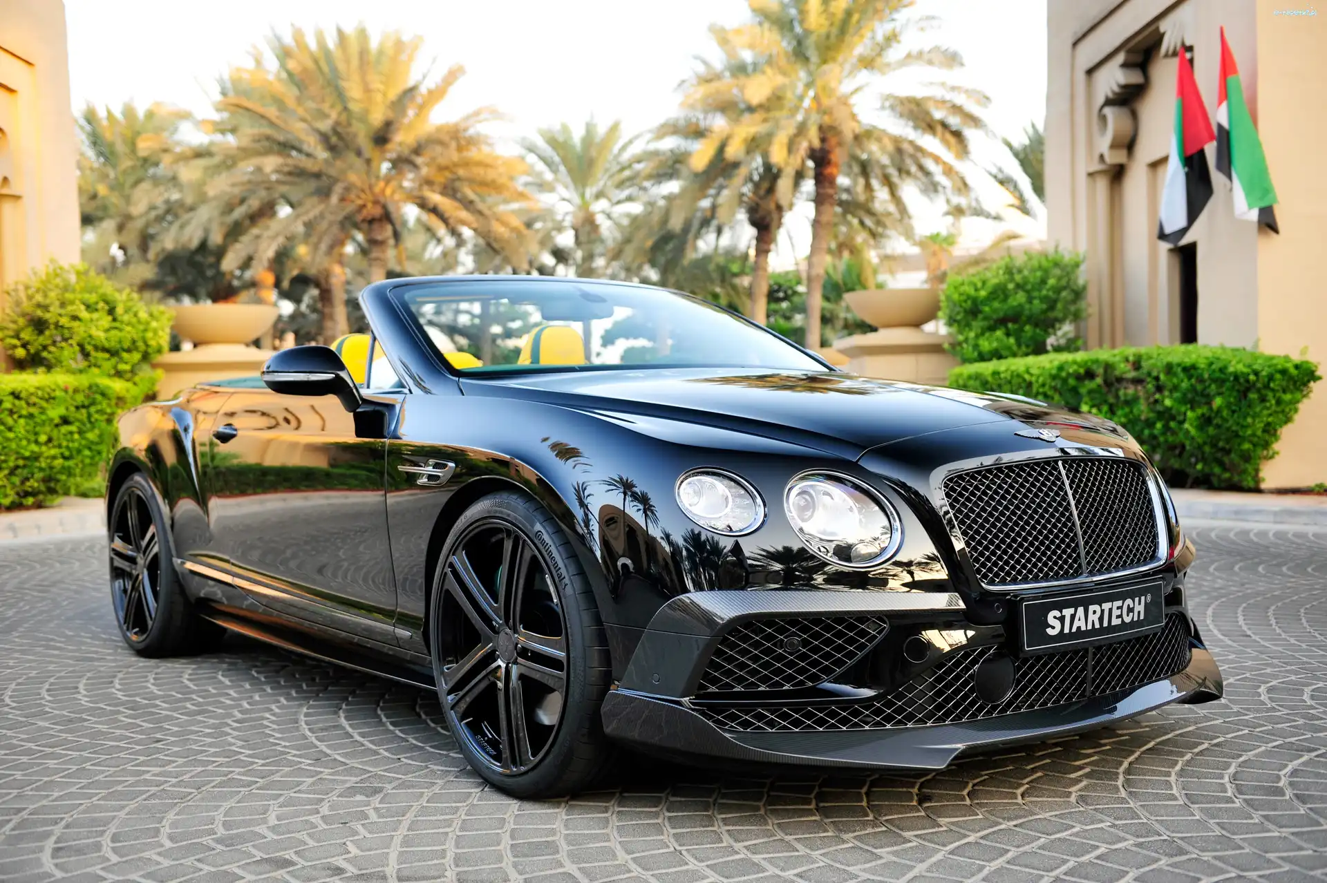 Continental, Bentley, Samochód