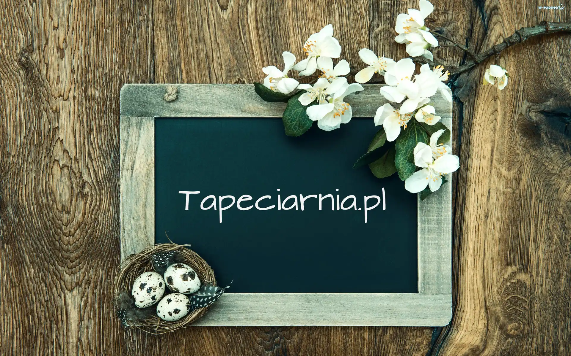 Gniazdo, Kompozycja, Kwiaty, Ramka