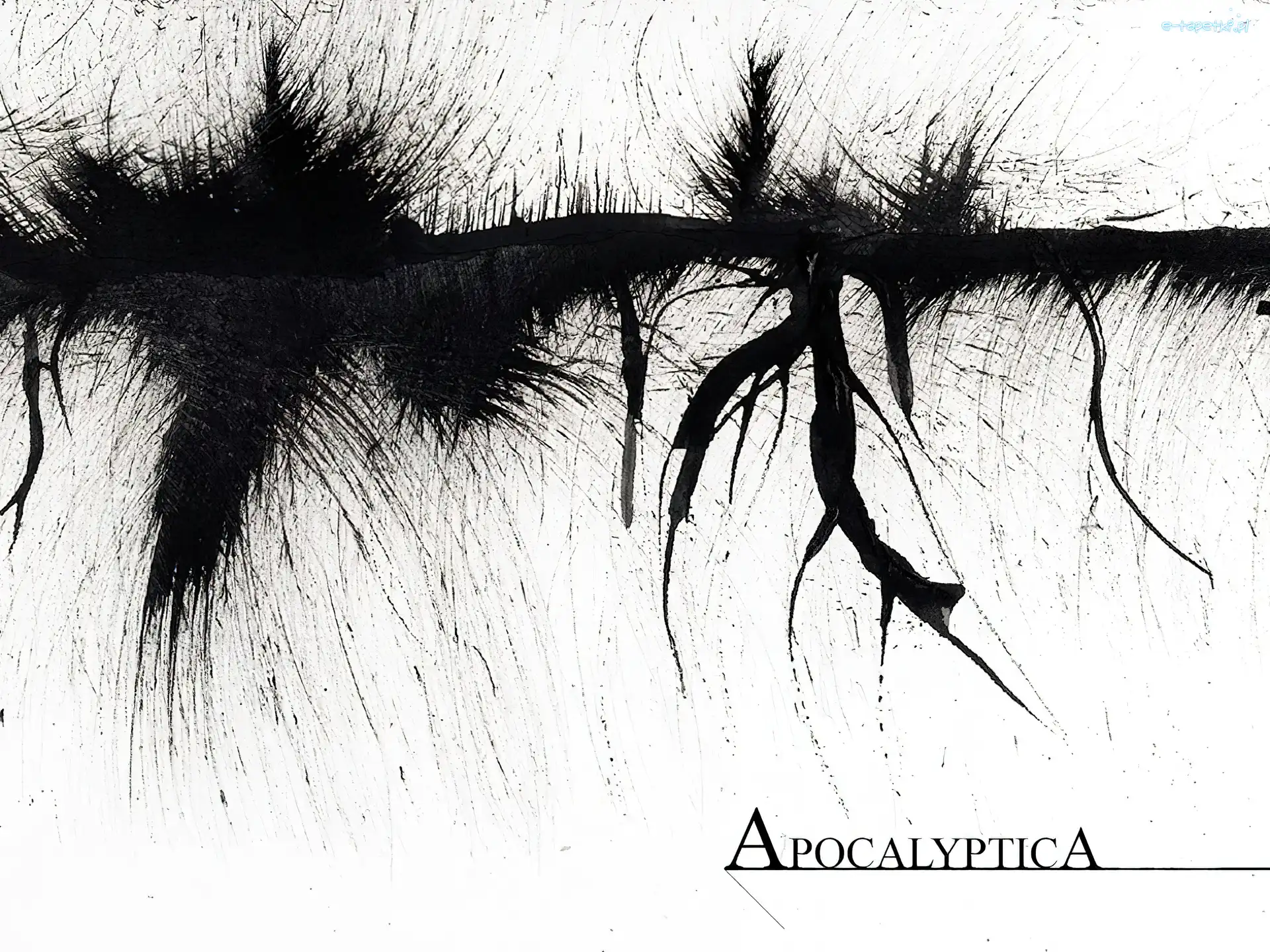 nazwa zespołu, Apocalyptica