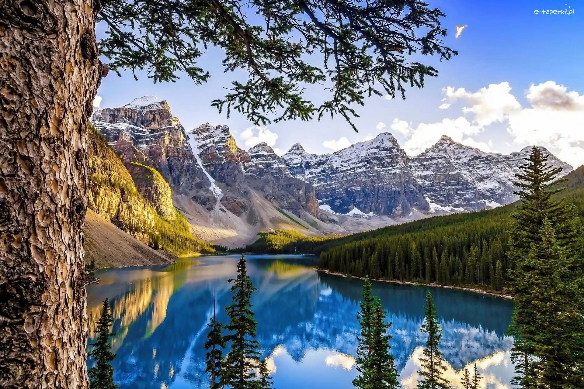 Góry, Las, Jezioro, Kanada, Alberta