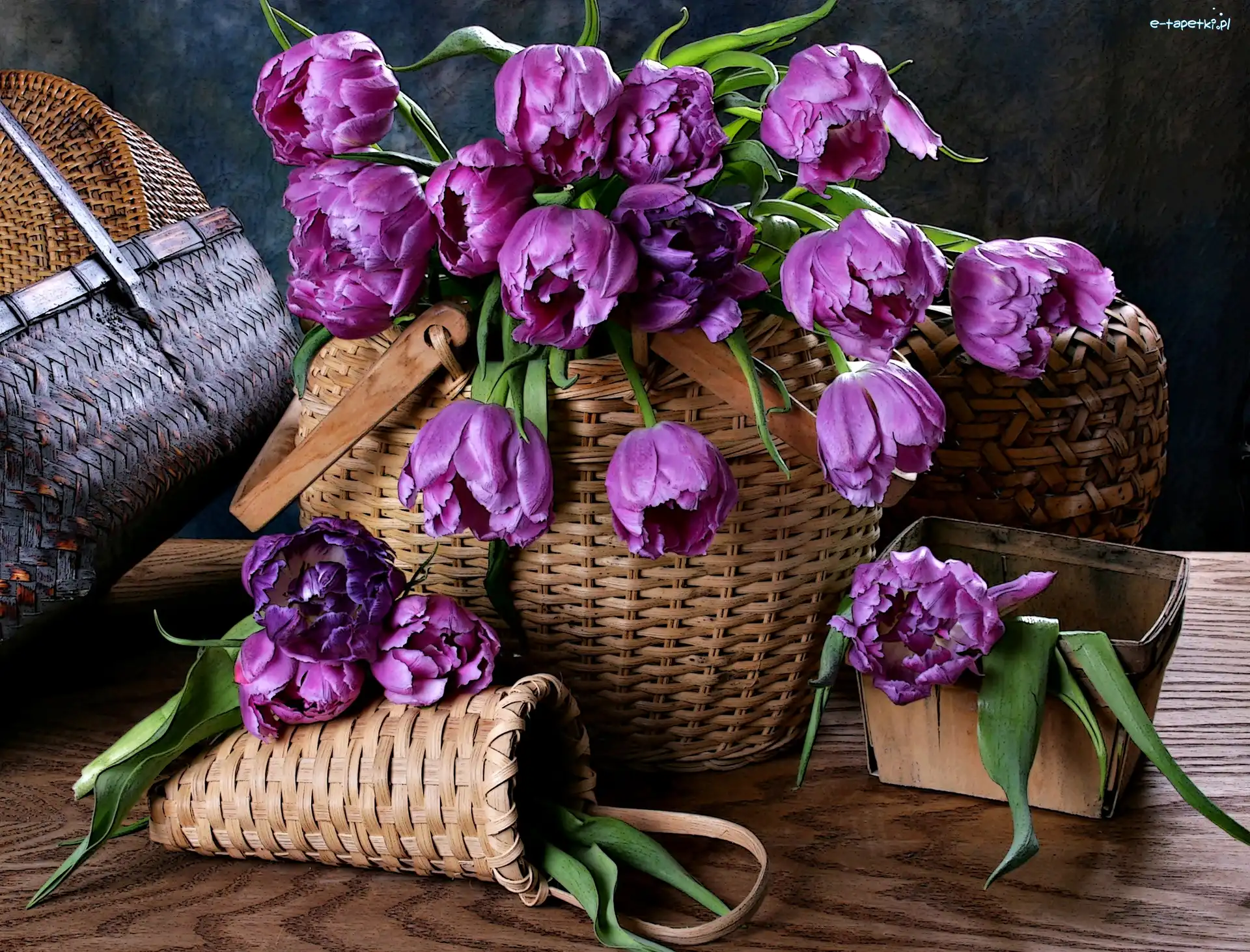 Kompozycja, Koszyki, Tulipany