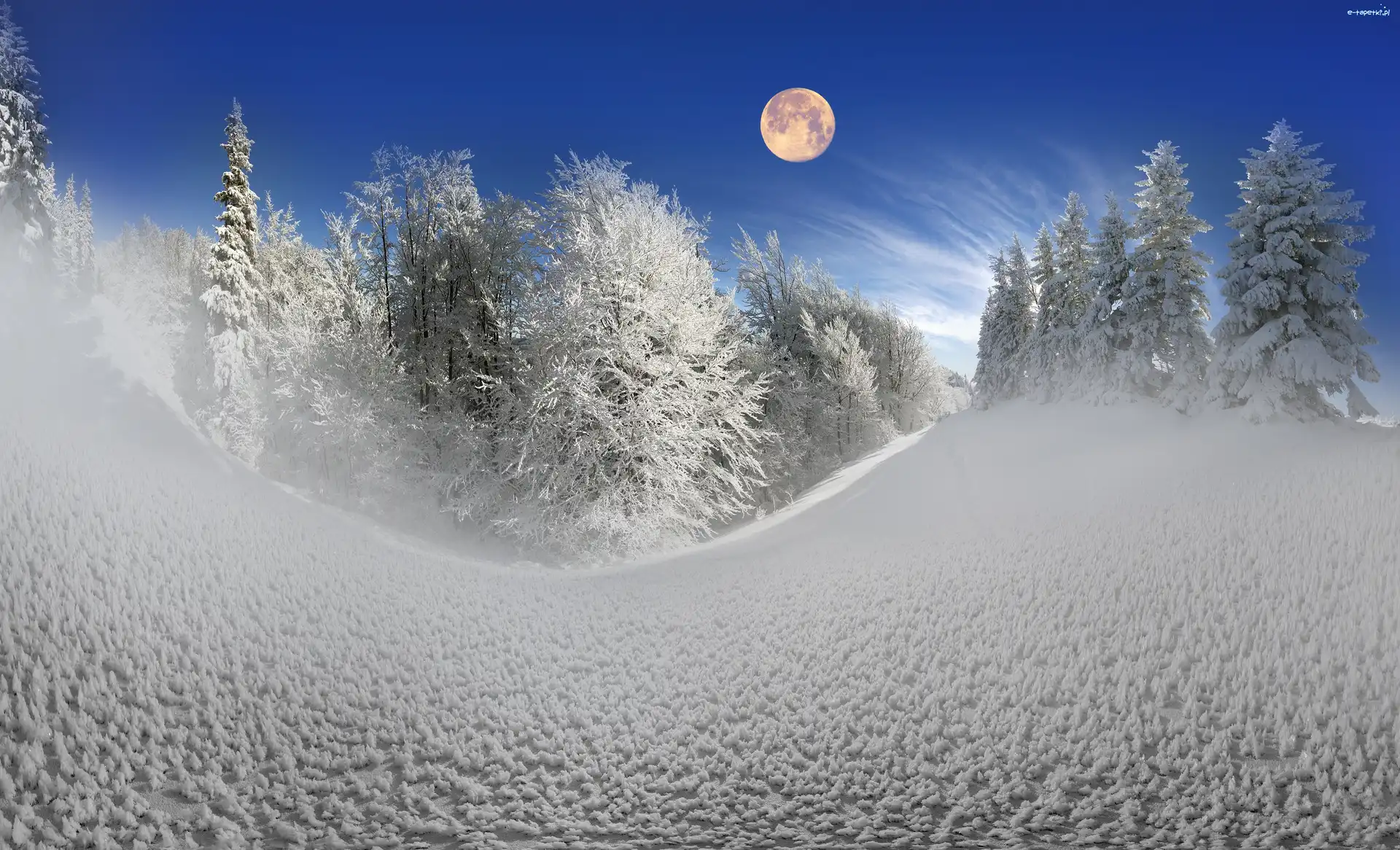 Śnieg, Drzewa, Księżyc, Zima