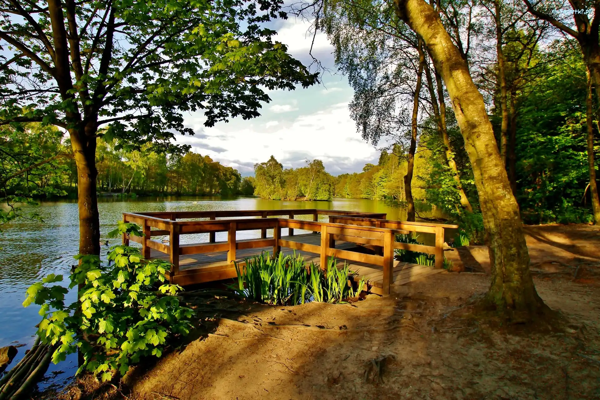 Pomost, Przebijające Światło, Drzewa, Jezioro