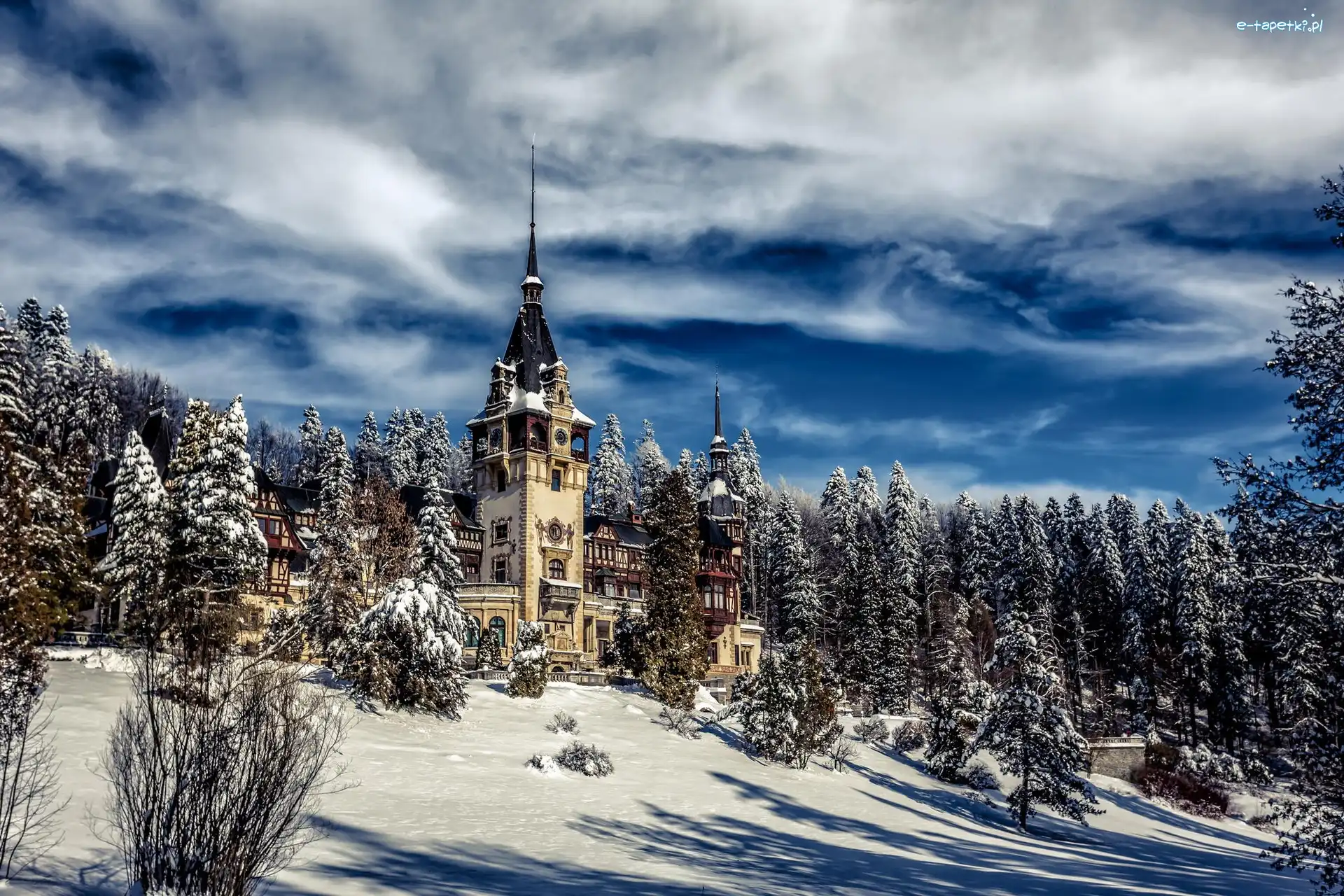 Zima, Miejscowość Sinaia, Rumunia, Drzewa, Castelul Peleş, Pałac Peles