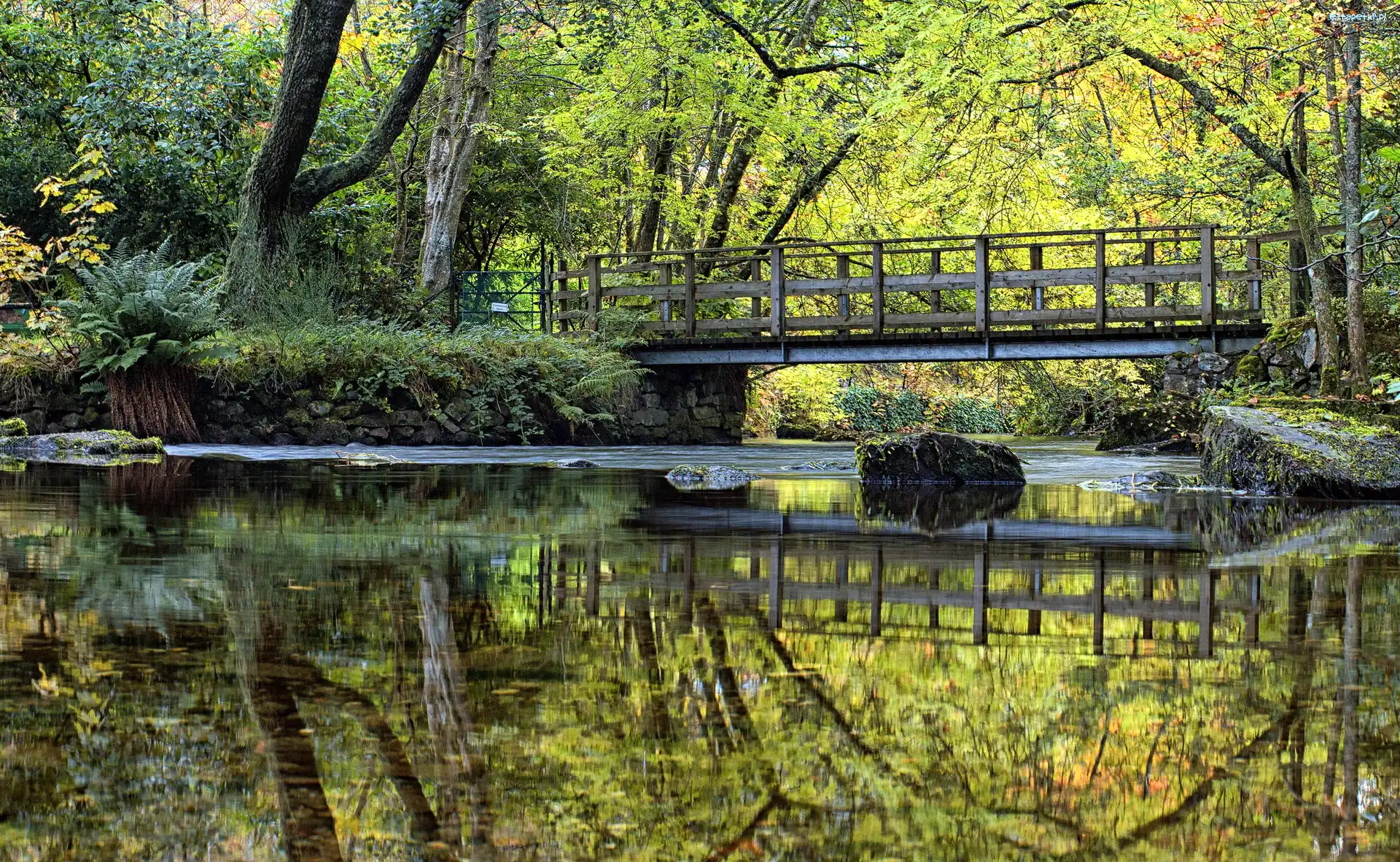 Staw, Park, Mostek