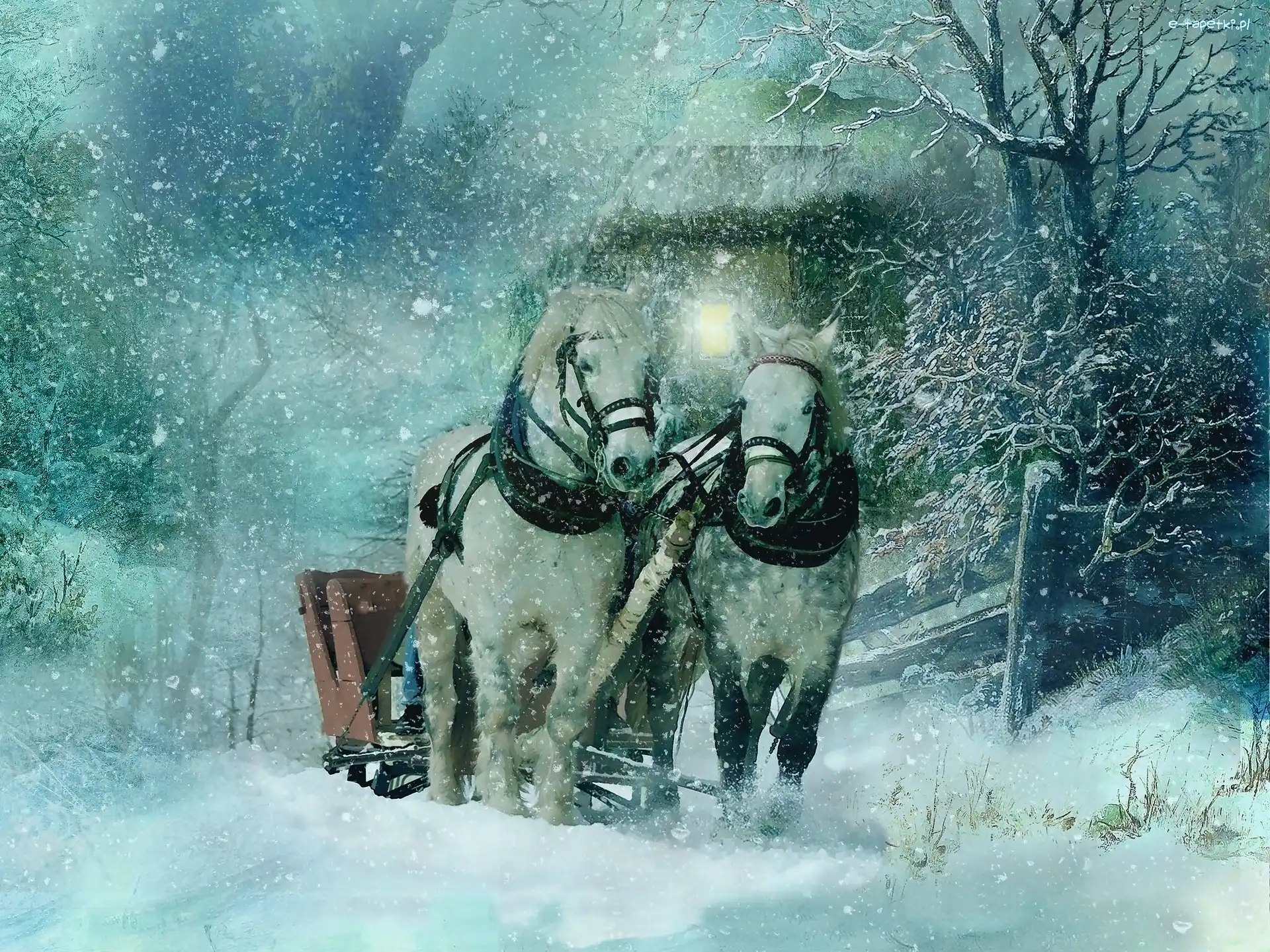 Konie, Śnieg, Zaprzęg, Zima