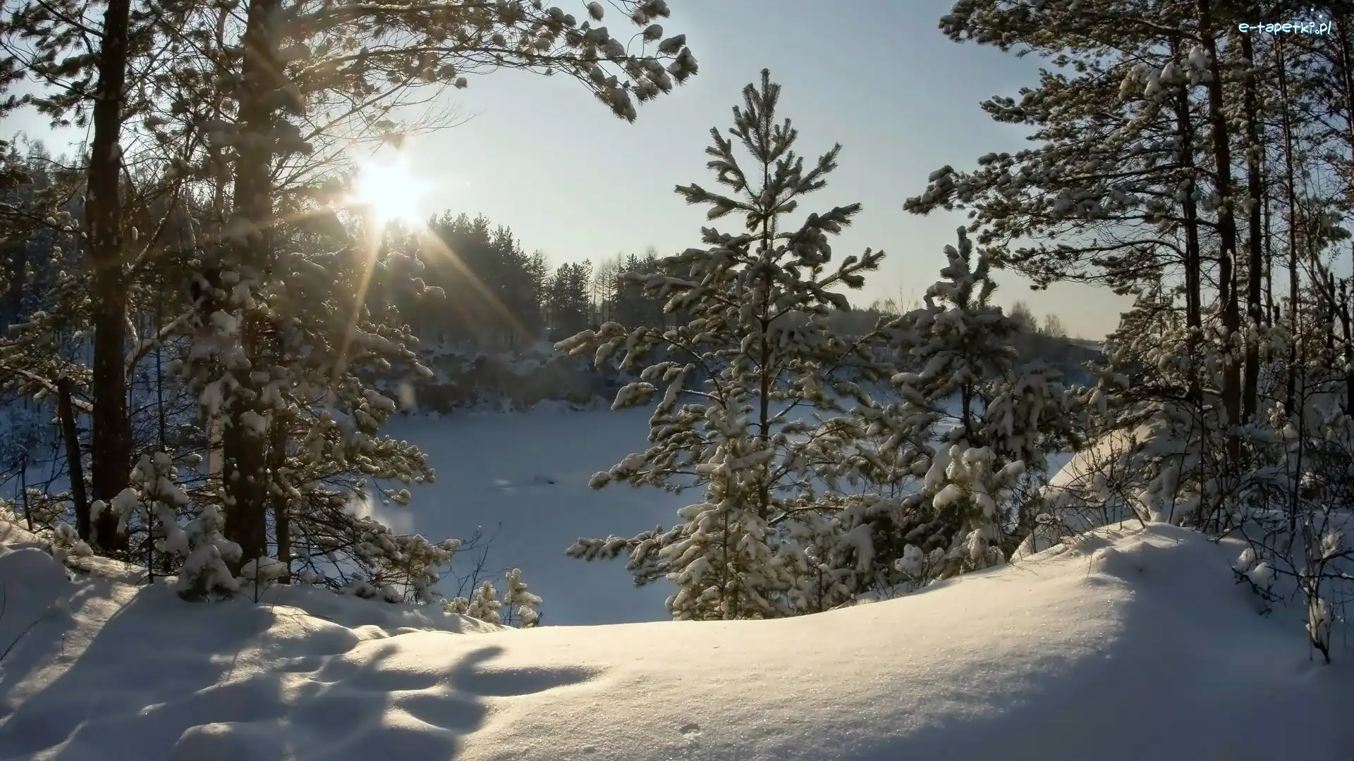 Las, Jezioro, Zima