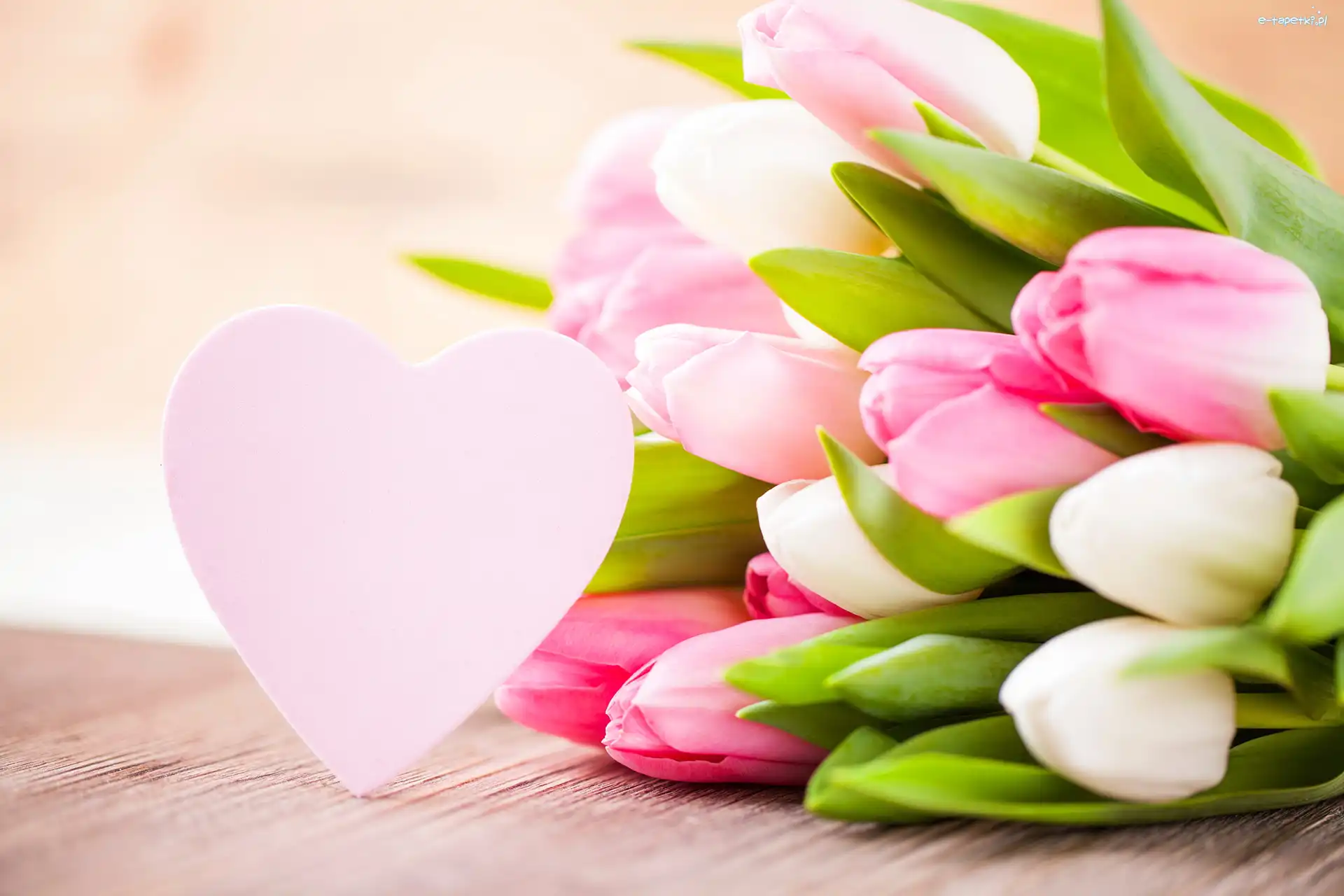Serce, Tulipany